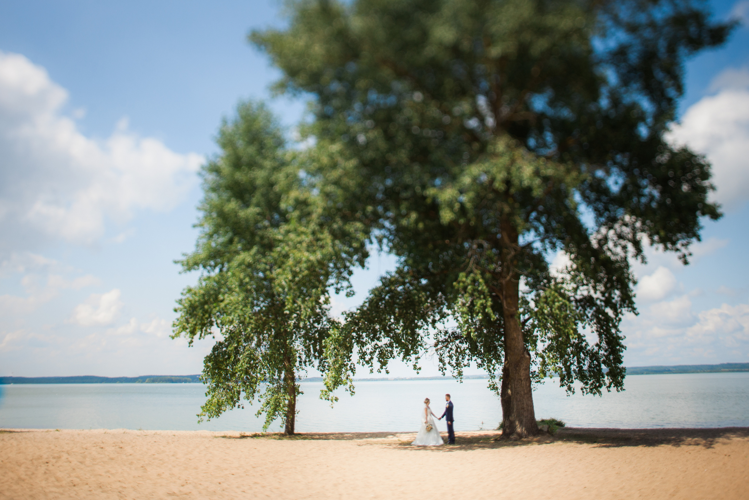 Юля+Виталий. Фотограф Дмитрий Смелов