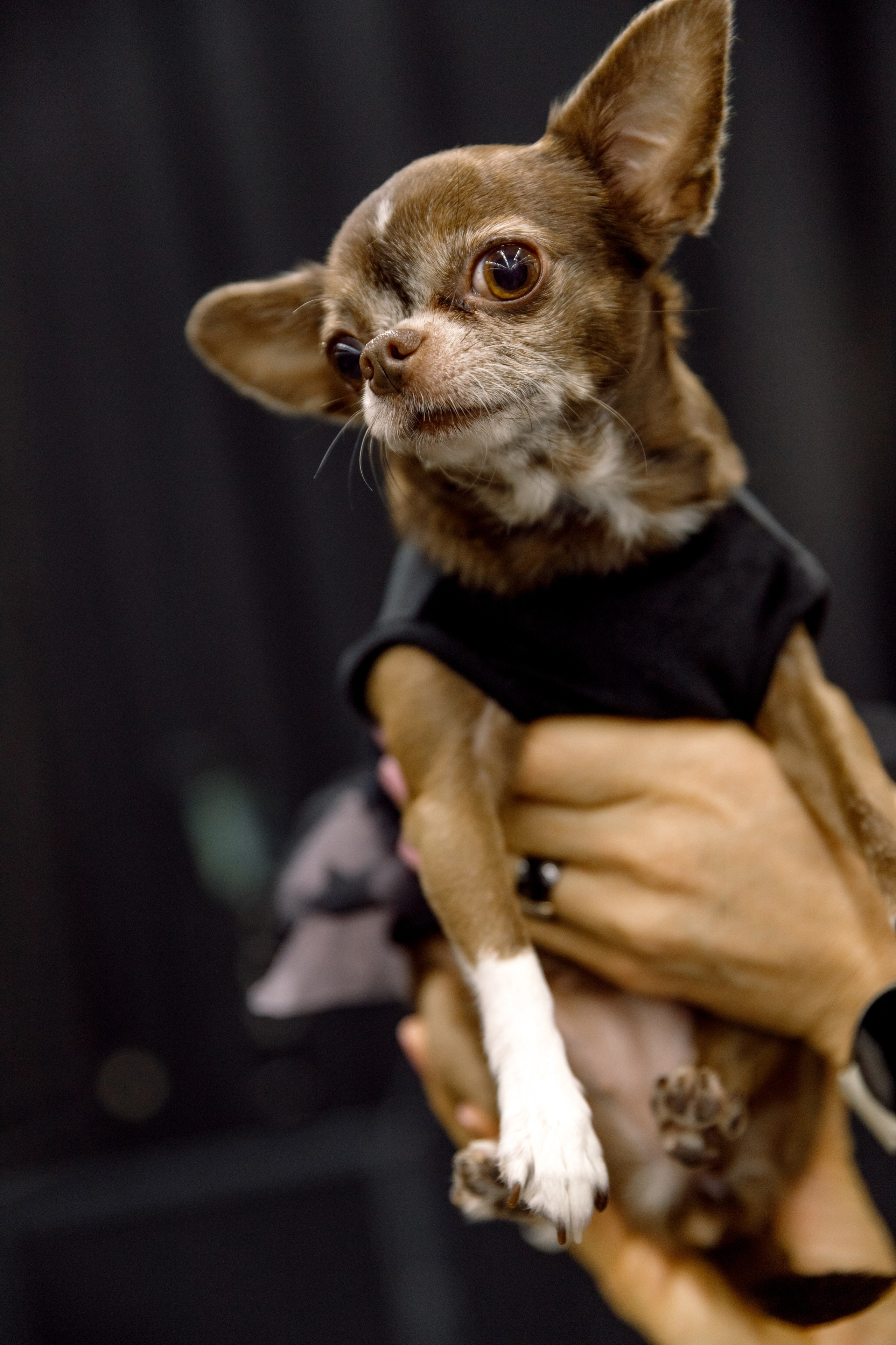 O&J Fashion Fest осень'25. Свадебный фотограф Иркутск, репортажный фотограф Иркутск