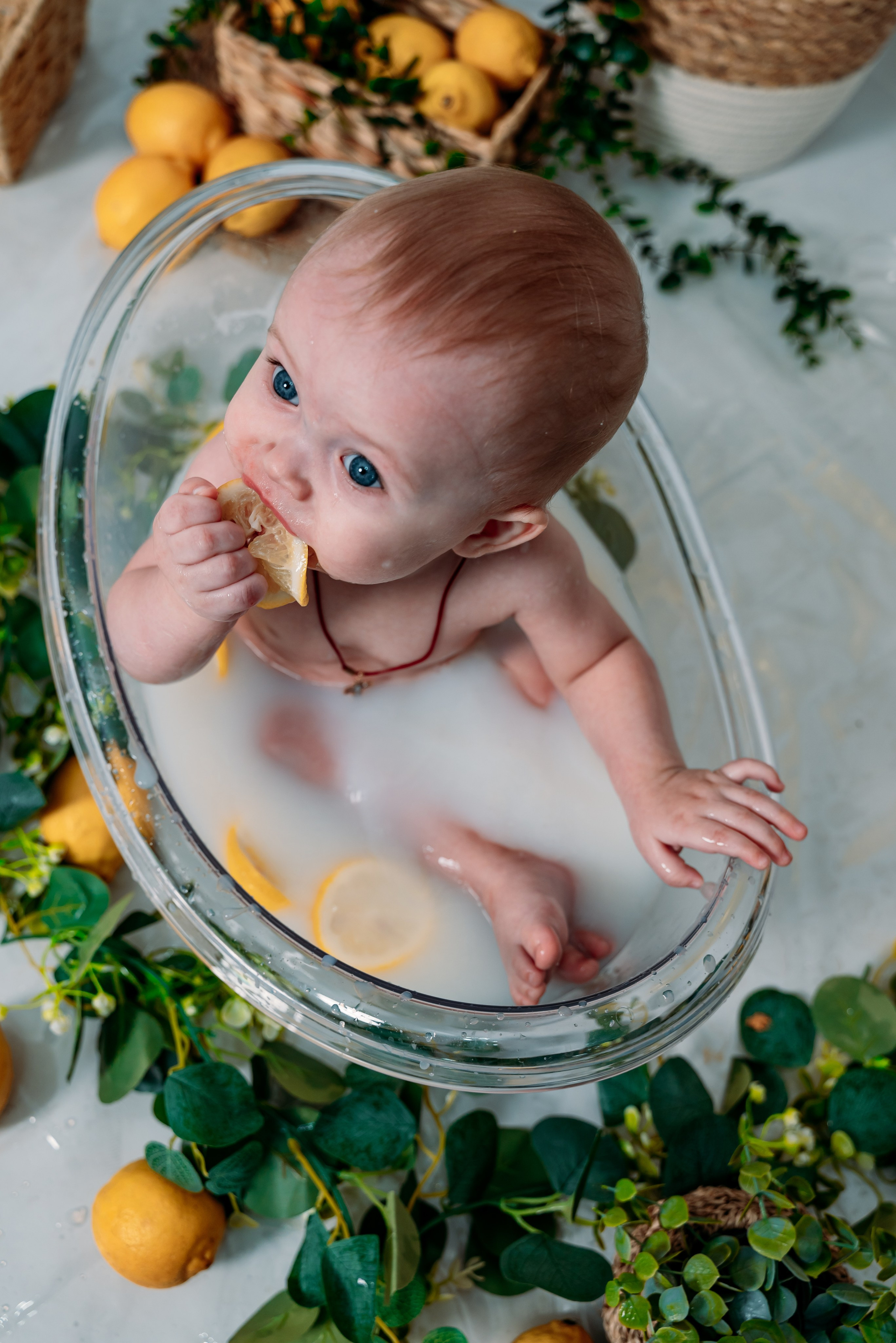 Лимонный бум. Фотограф Алёна Царькова. Киселевск