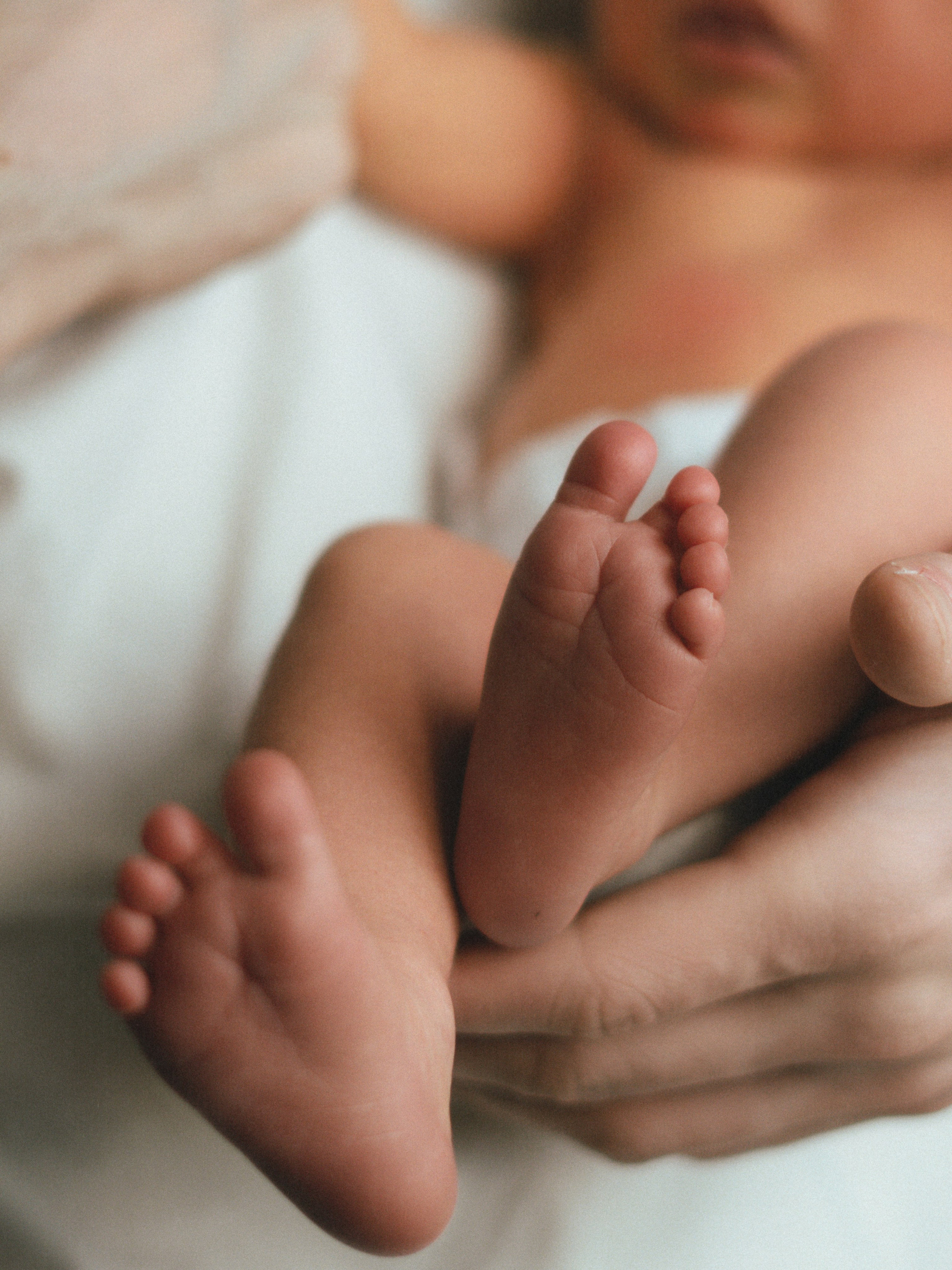 Мироша. SHILOVA PHOTO. Шилова Екатерина. Фотограф. Москва