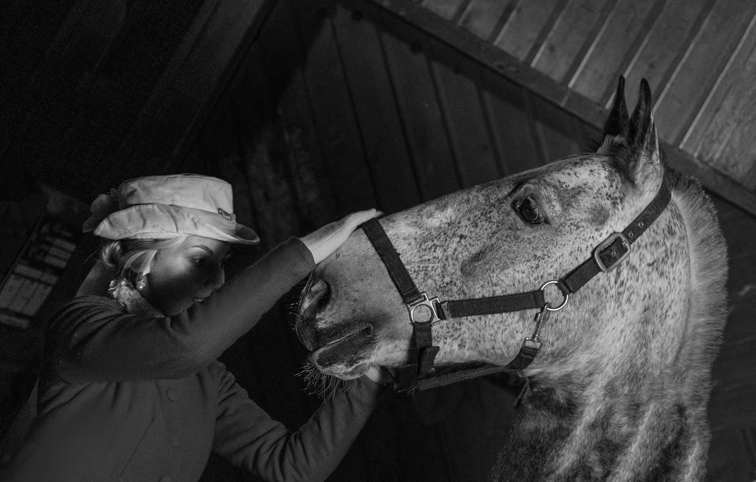 Фотограф Татьяна Марсуверских г. Жуковский, Москва и Мо. Репортажные съёмки, фотосессии с лошадьми,  фотограф анималист, фотосъёмка животных. Фотограф для маркетплейсов, фотоуслуги в Жуковском Татьяна Марсуверских
