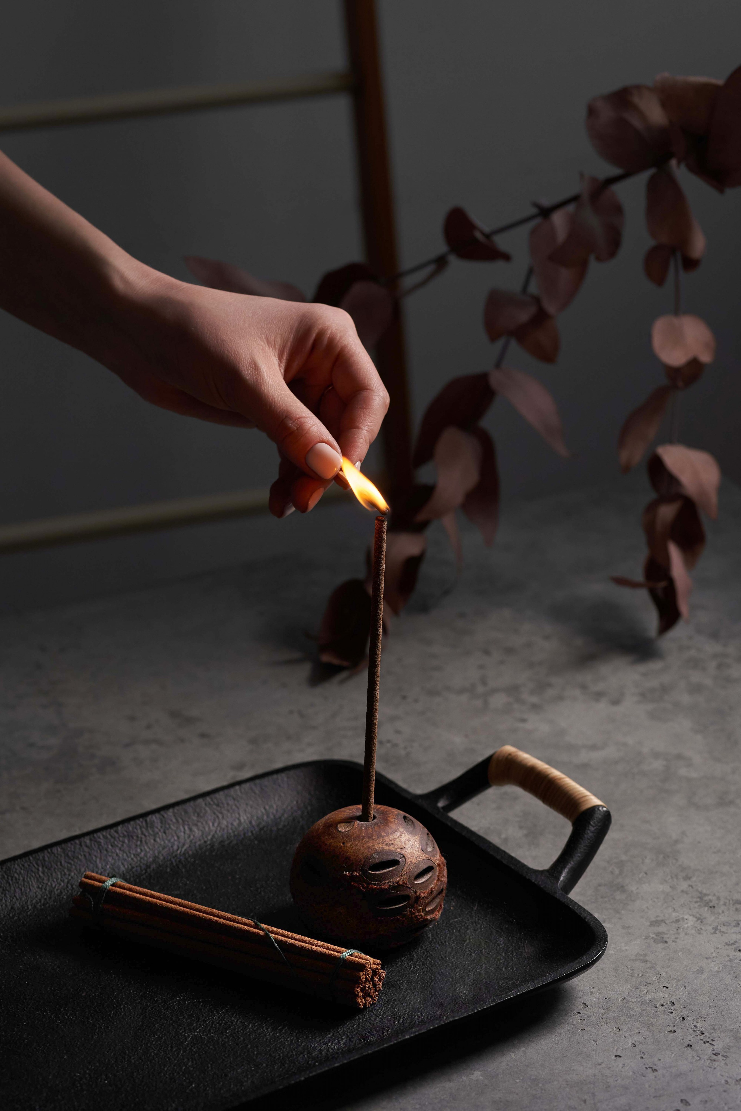 Dindi aroma. Фотограф Улан-Удэ