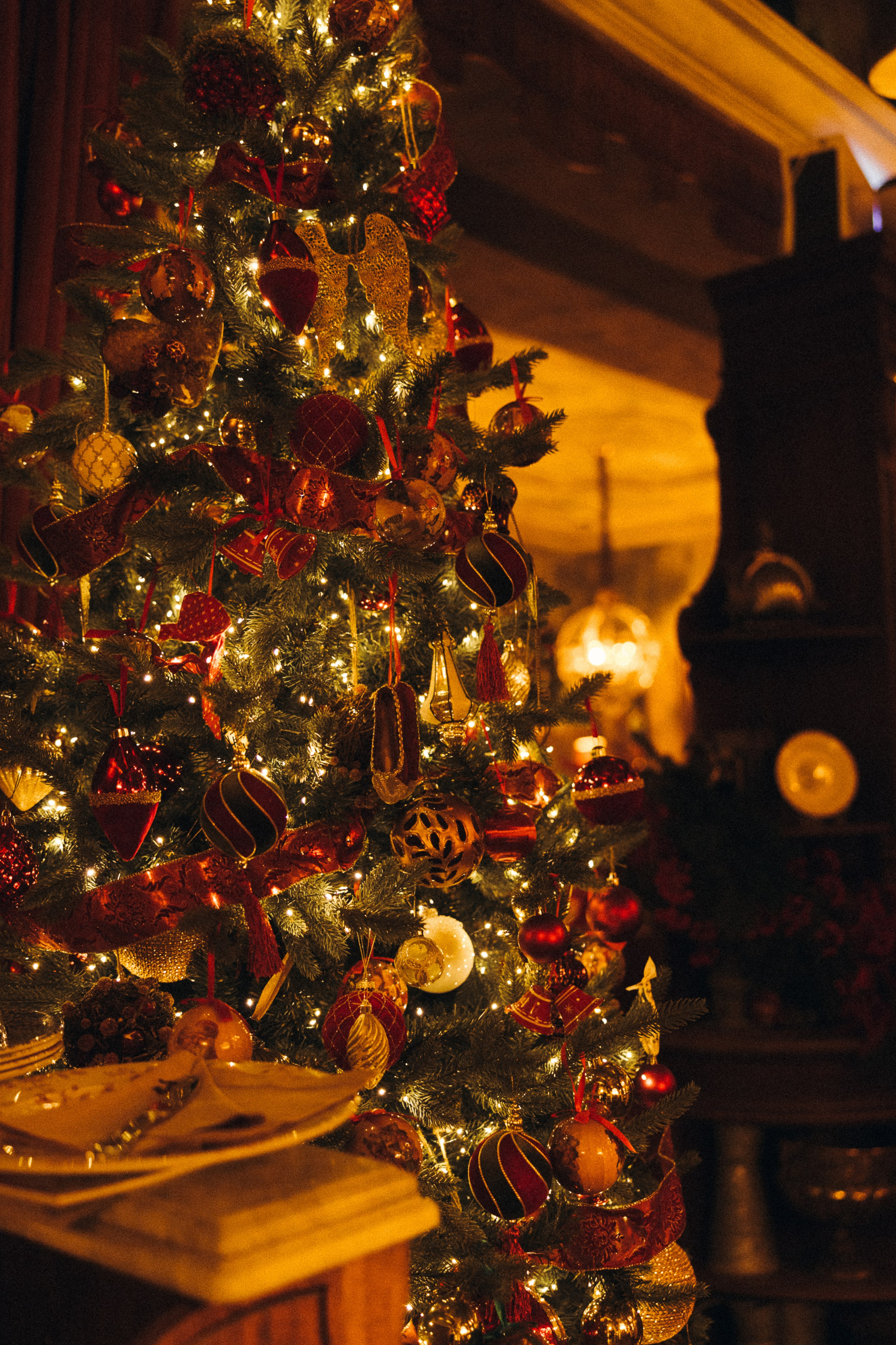 Предложение руки и сердца. Свадебный | Семейный фотограф