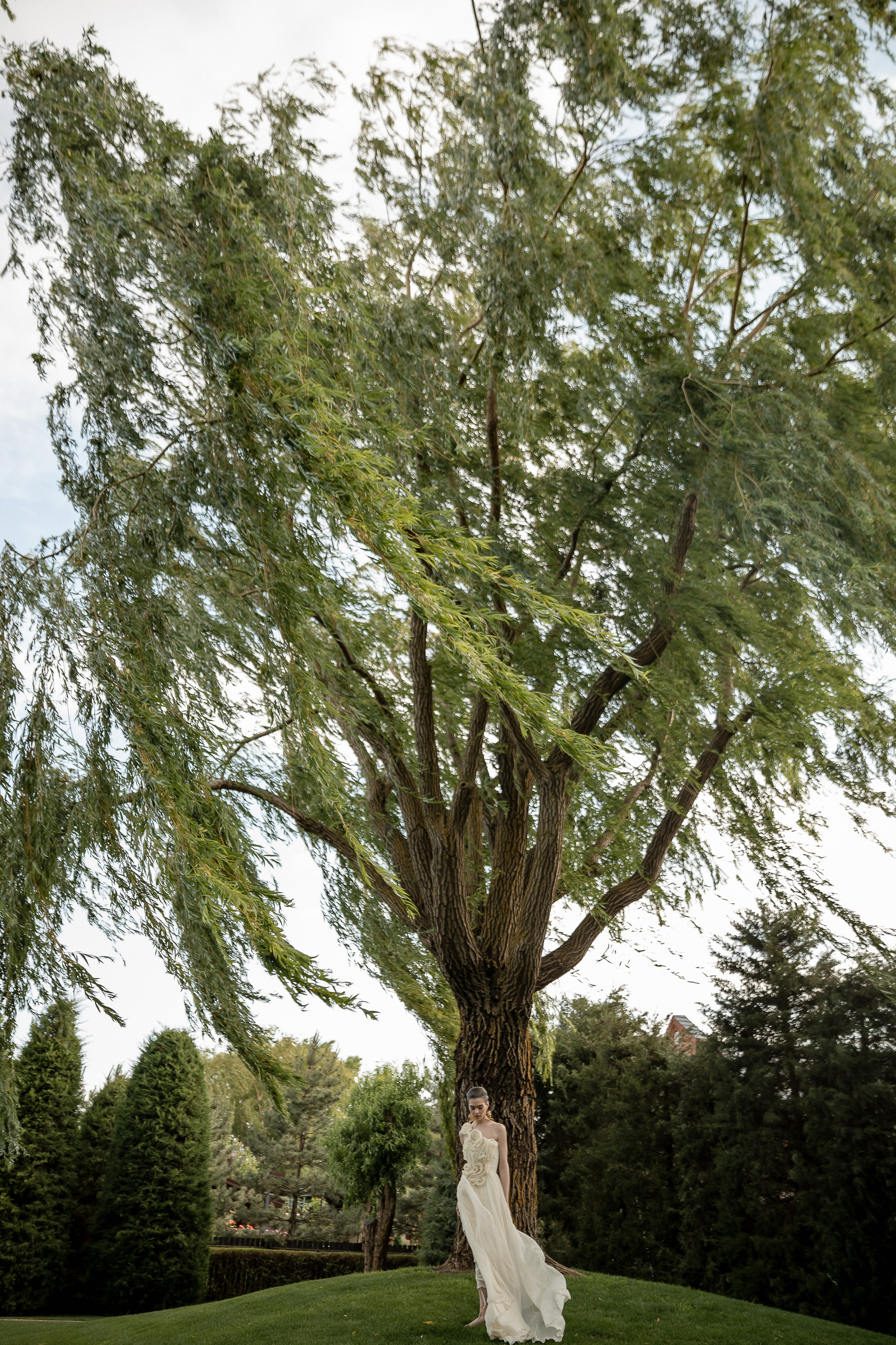 Свадебная съемка А&A. Свадебный | Семейный фотограф