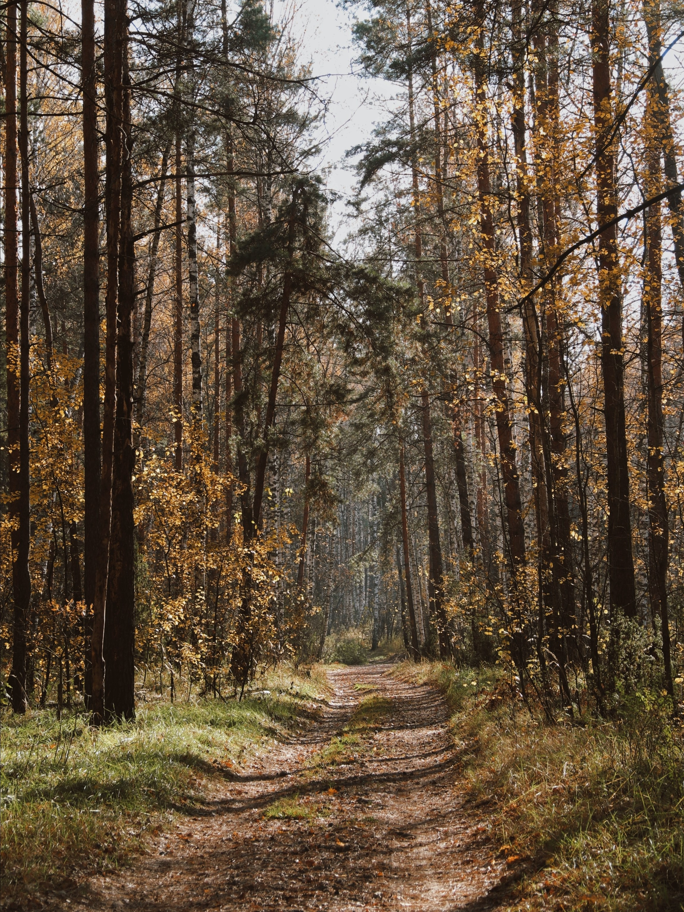 По тропе Паустовского. С любовью, фотохудожник