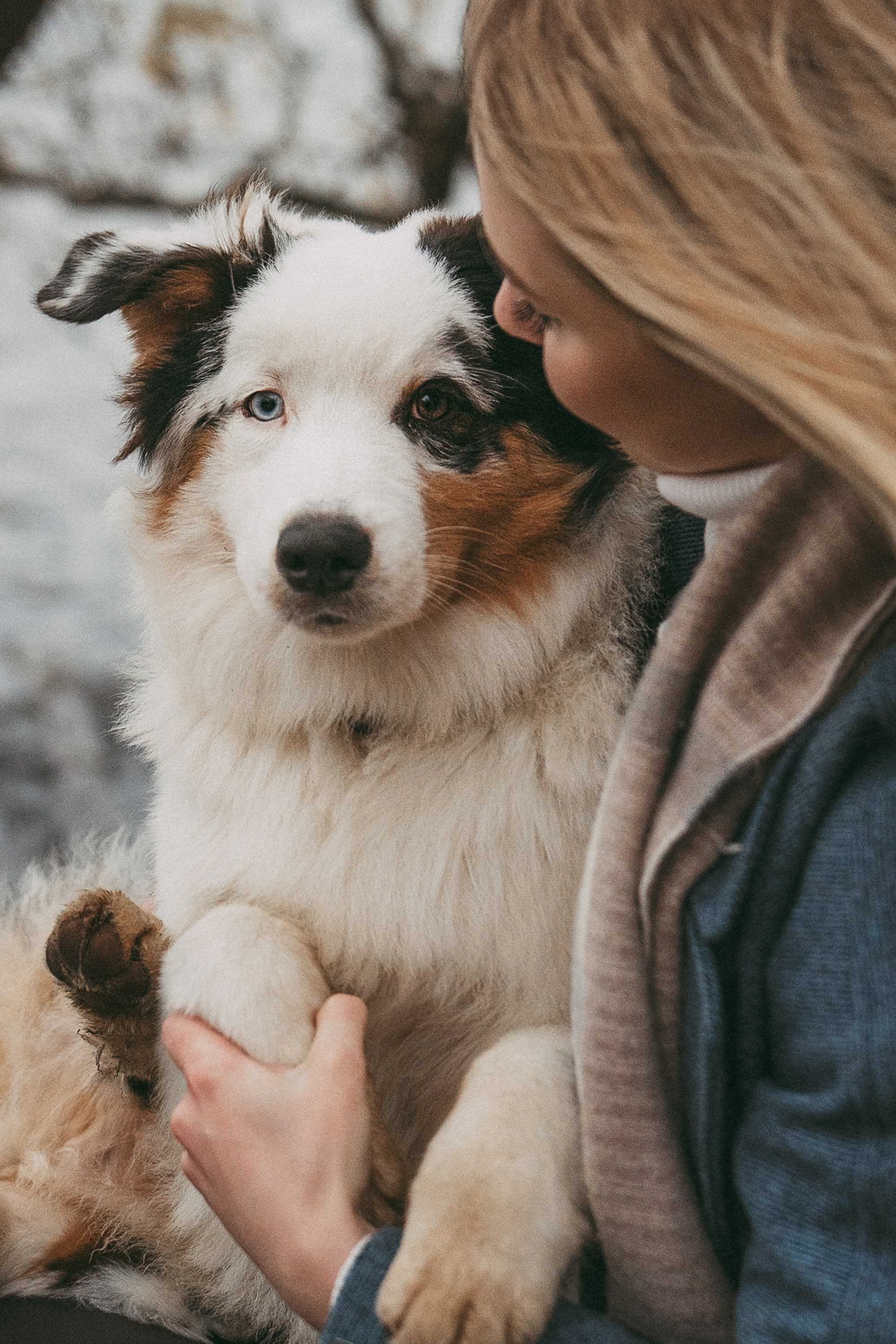 Лиза и Бублик. Фотограф анималист в Москве и Санкт-Петербурге Свиридова Анна