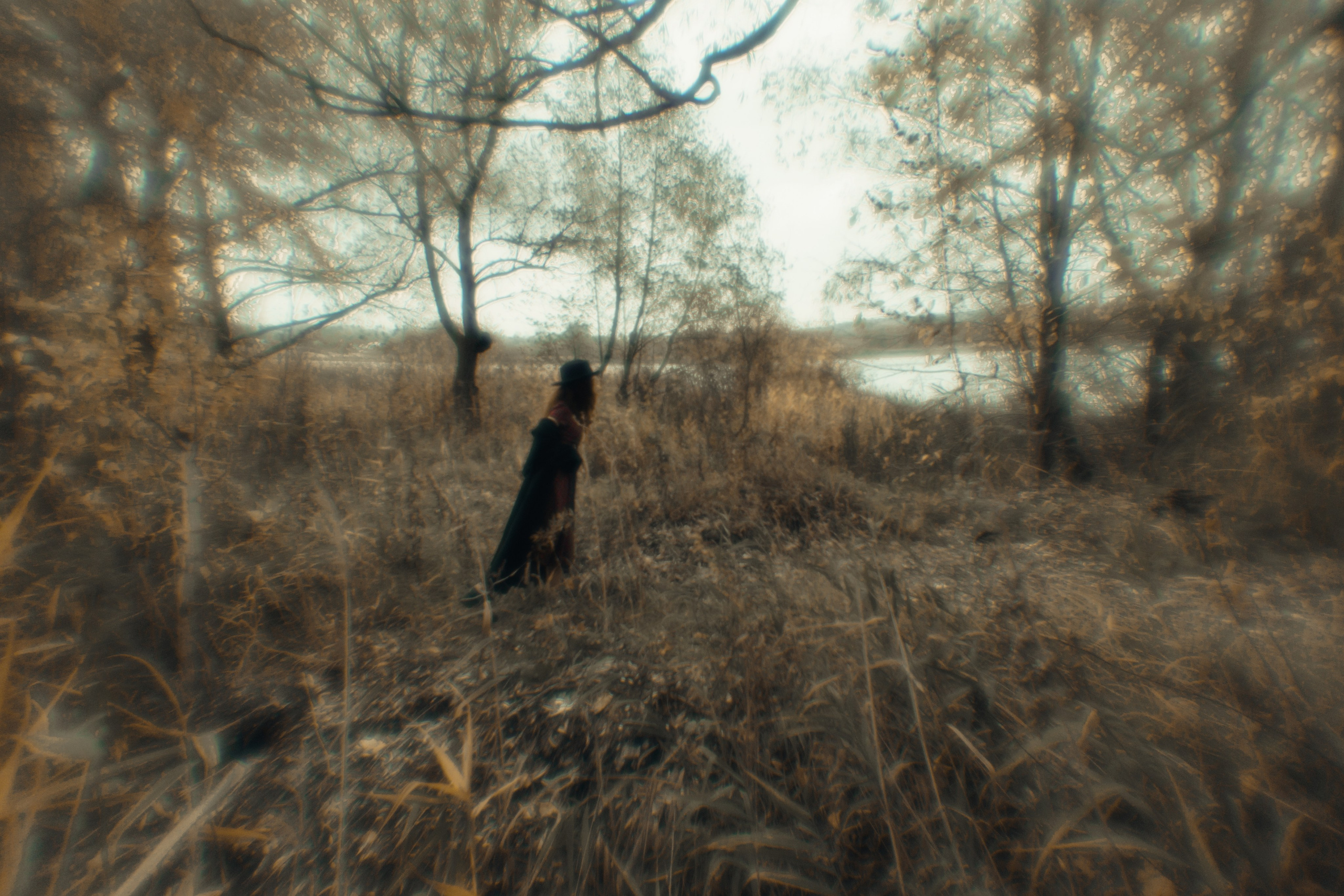 Прогулочный фотосет в осеннем лесу, фото как картина в лесу