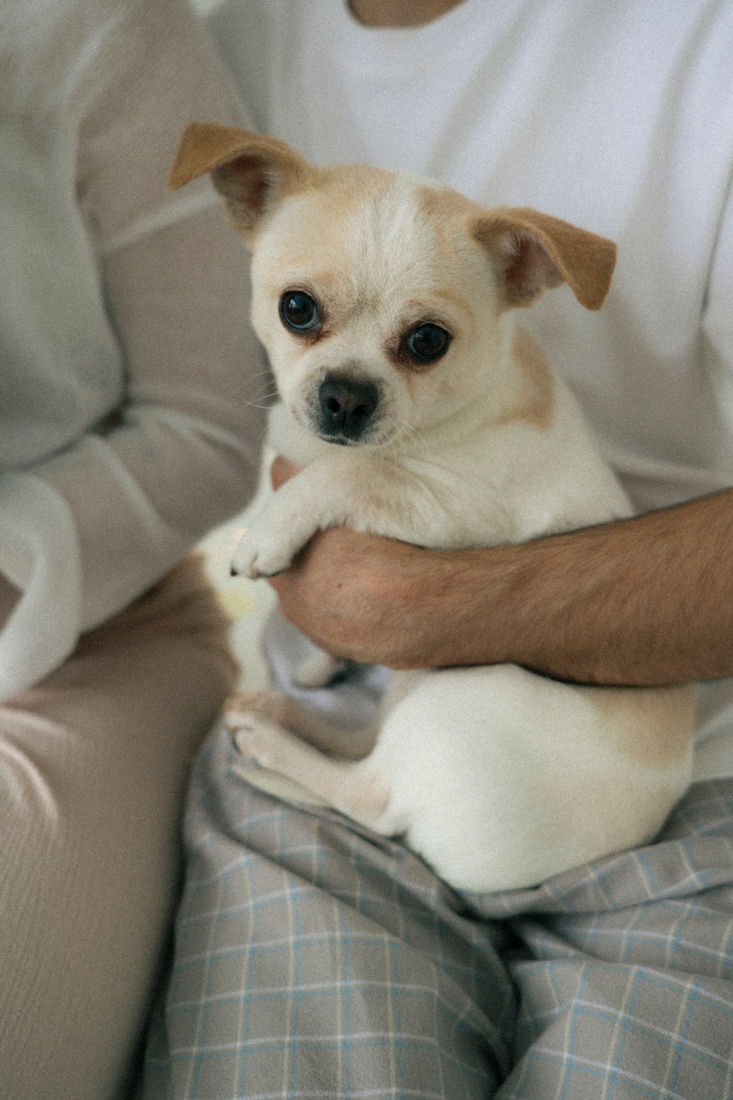 Марьям и Серафим. Фотограф НатаФото (Наталья Яковенко) Дмитров Москва Питер