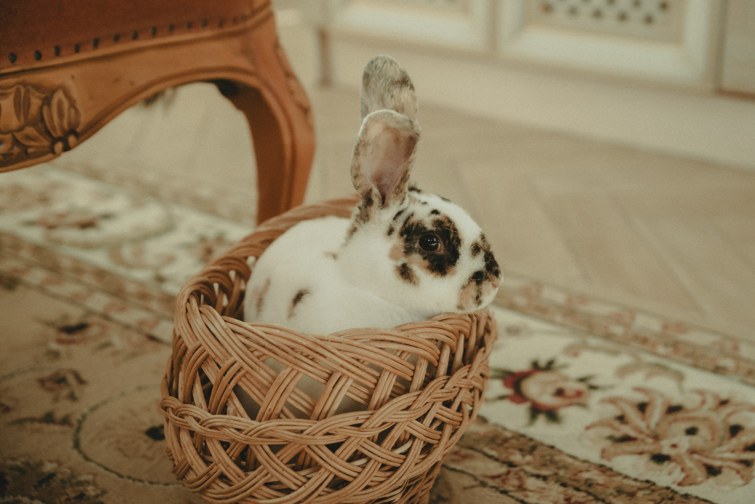 Анжелика. Фотограф Крещение Венчание Москва