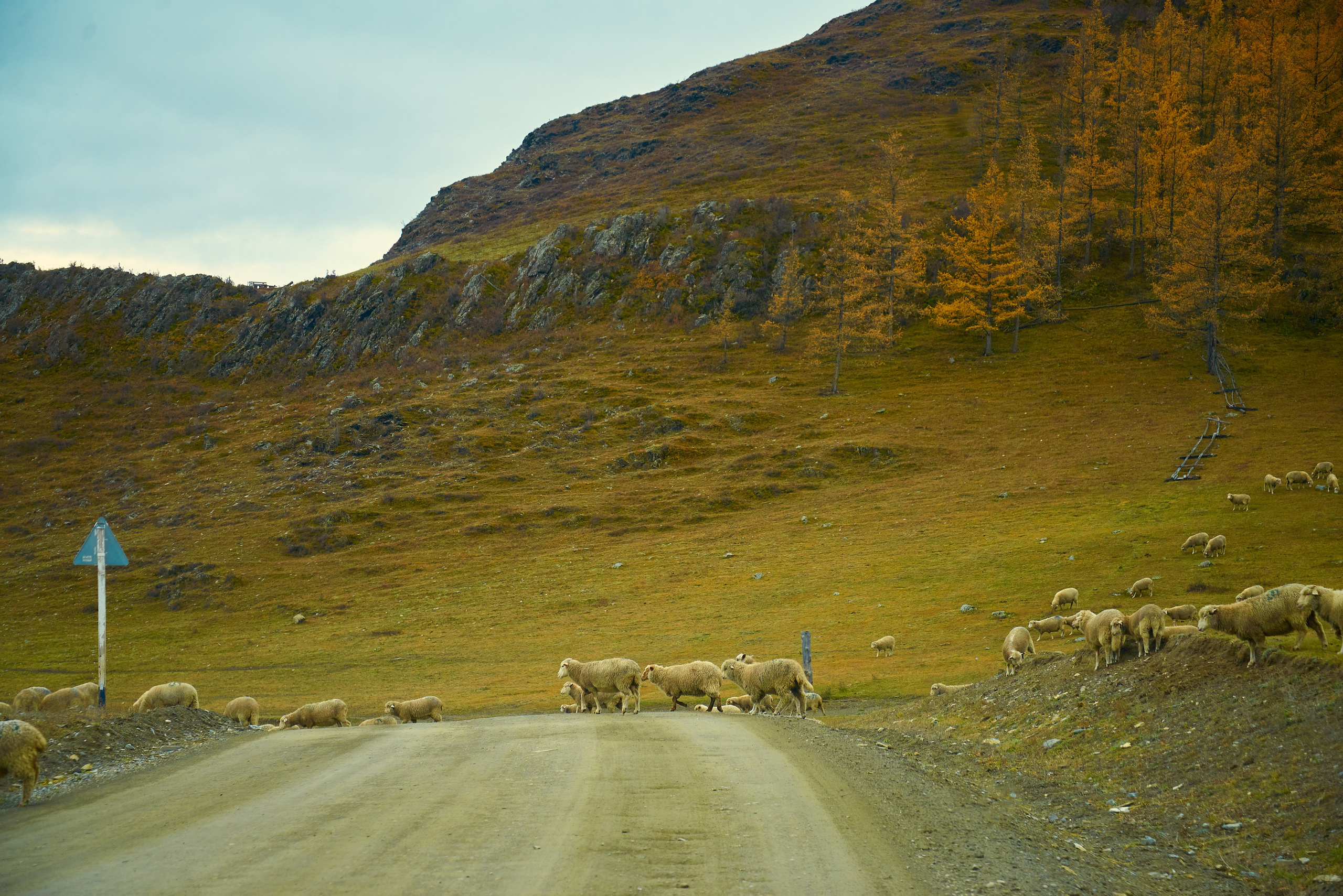 Контент-съёмка для туристической компании НА ВЫСОТЕ. Семейный фотограф в Барнауле, Горный Алтай, Заринск, Алейск