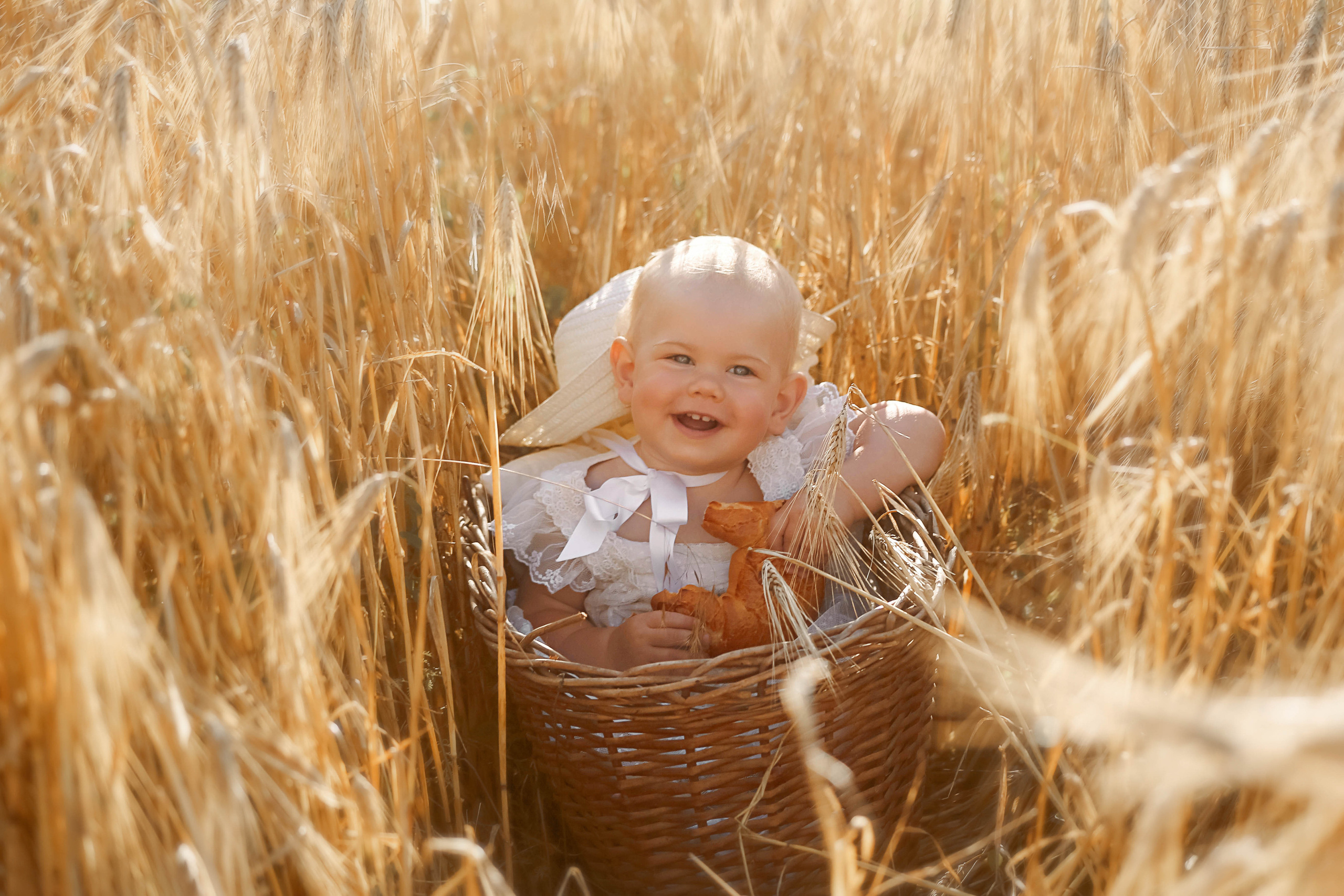 Полинка в пшенице. Семейный и детский фотограф в Симферополе и Севастополе
