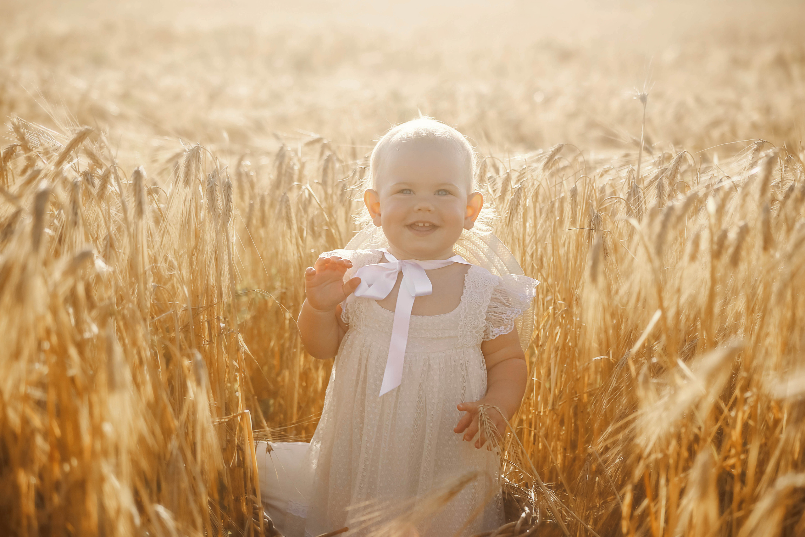 Полинка в пшенице. Семейный и детский фотограф в Симферополе и Севастополе