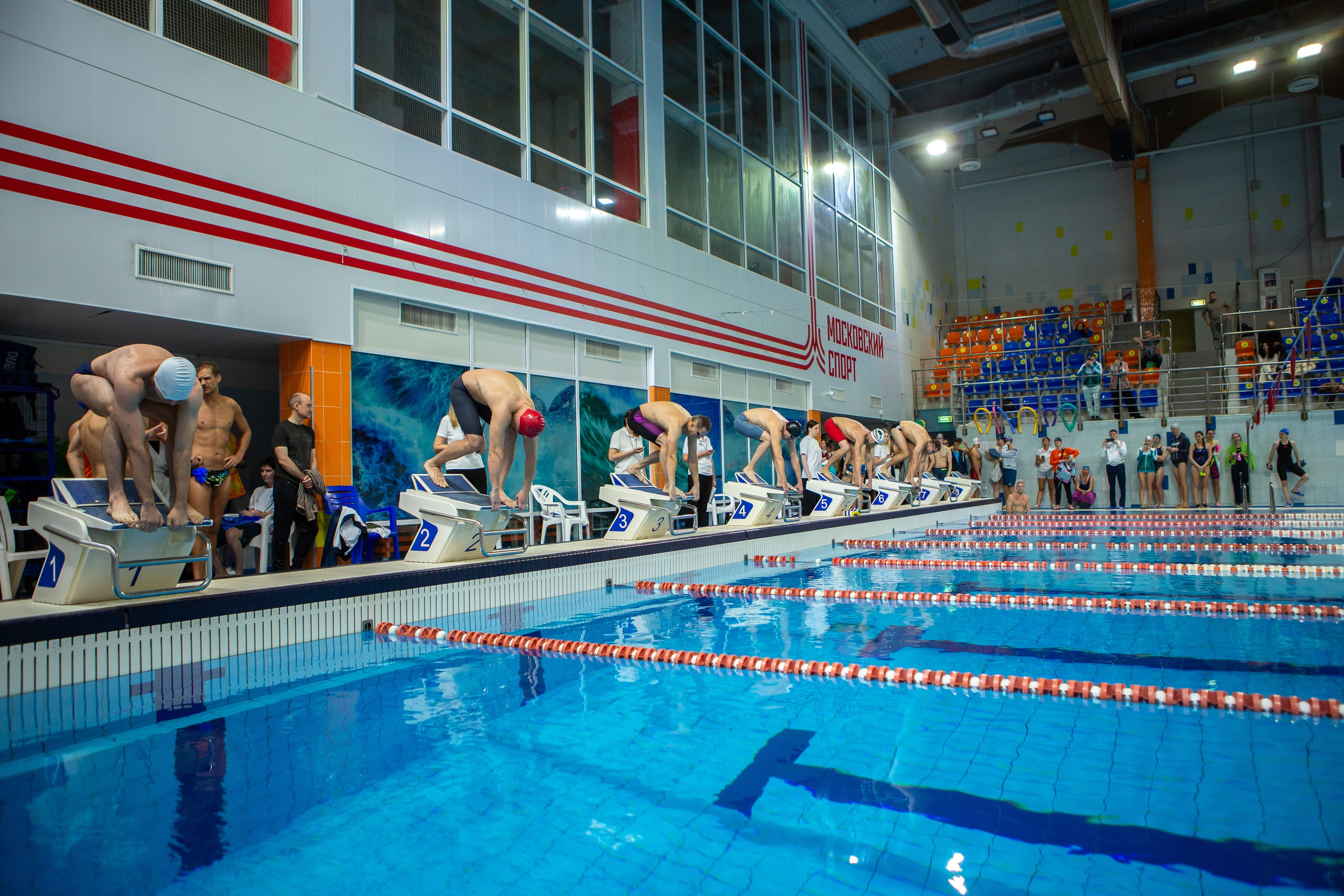 Турнир по плаванию. Репортажный, семейный, свадебный, портретный фотограф