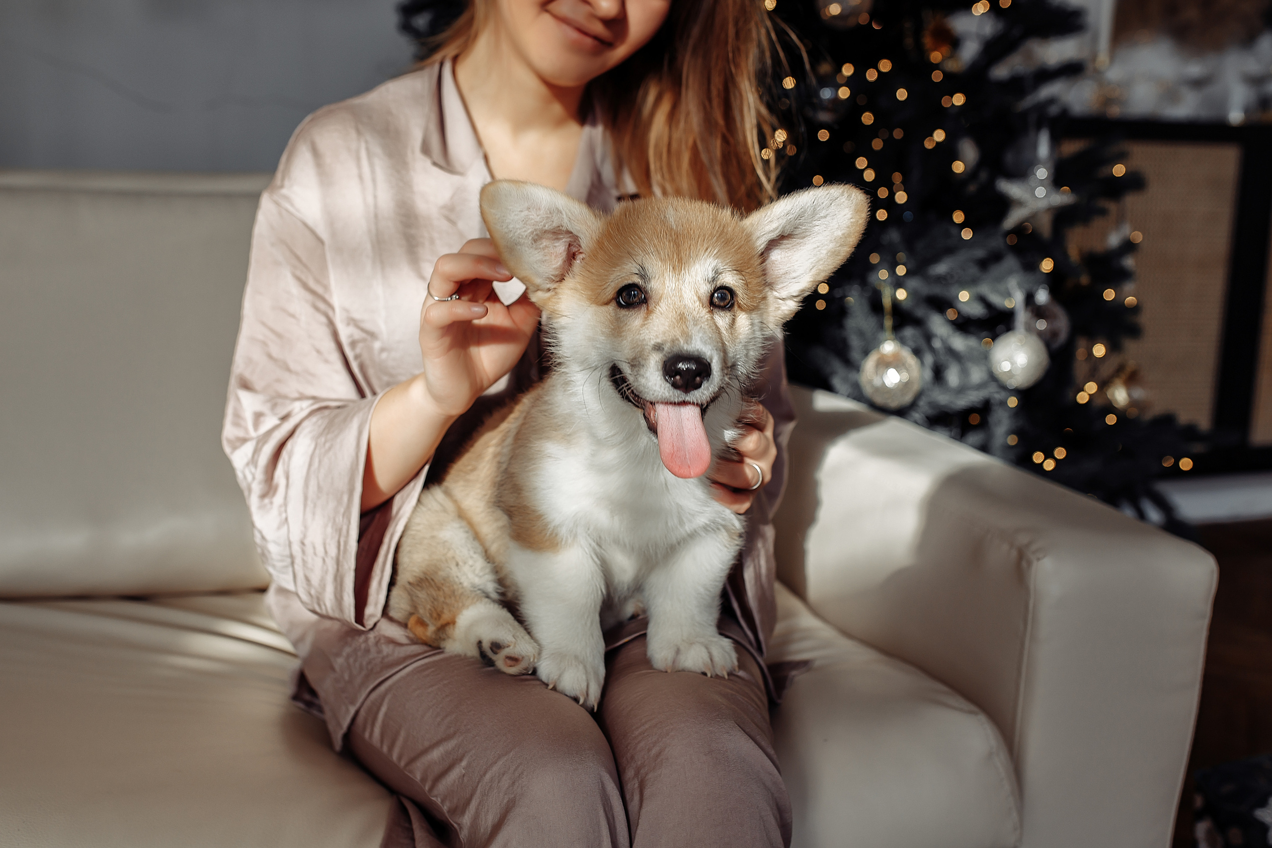 Новогодние фотосессии. Главная