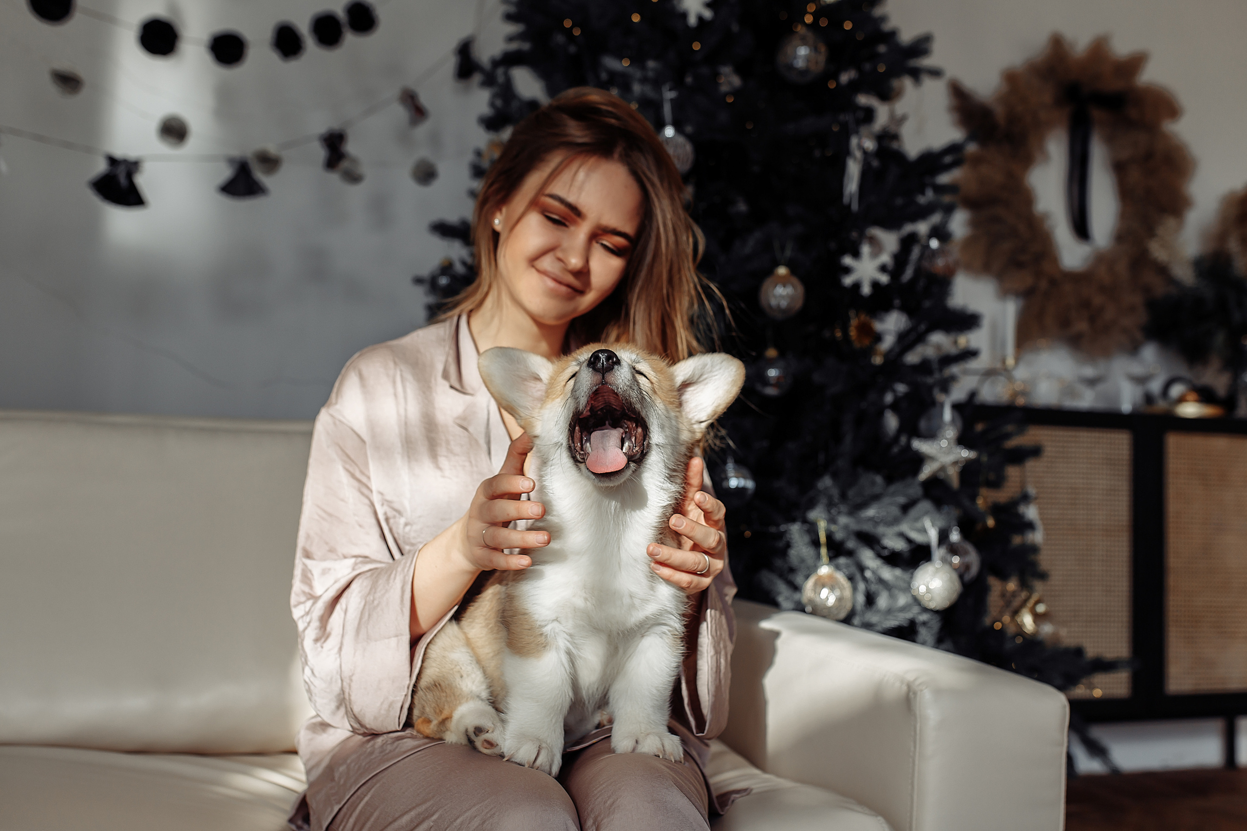 Новогодние фотосессии. Главная