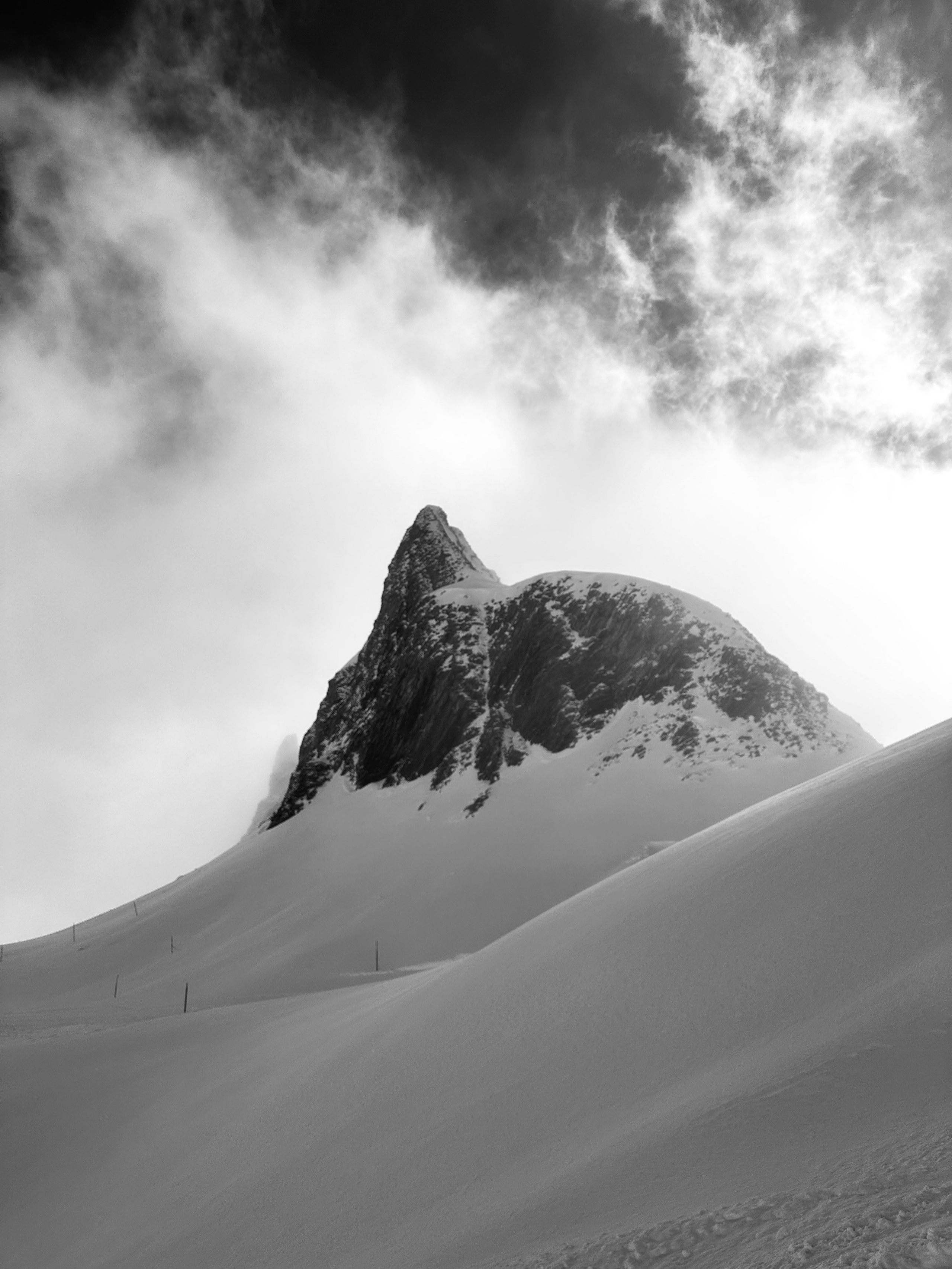 Grindelwald. Фотограф в Москве