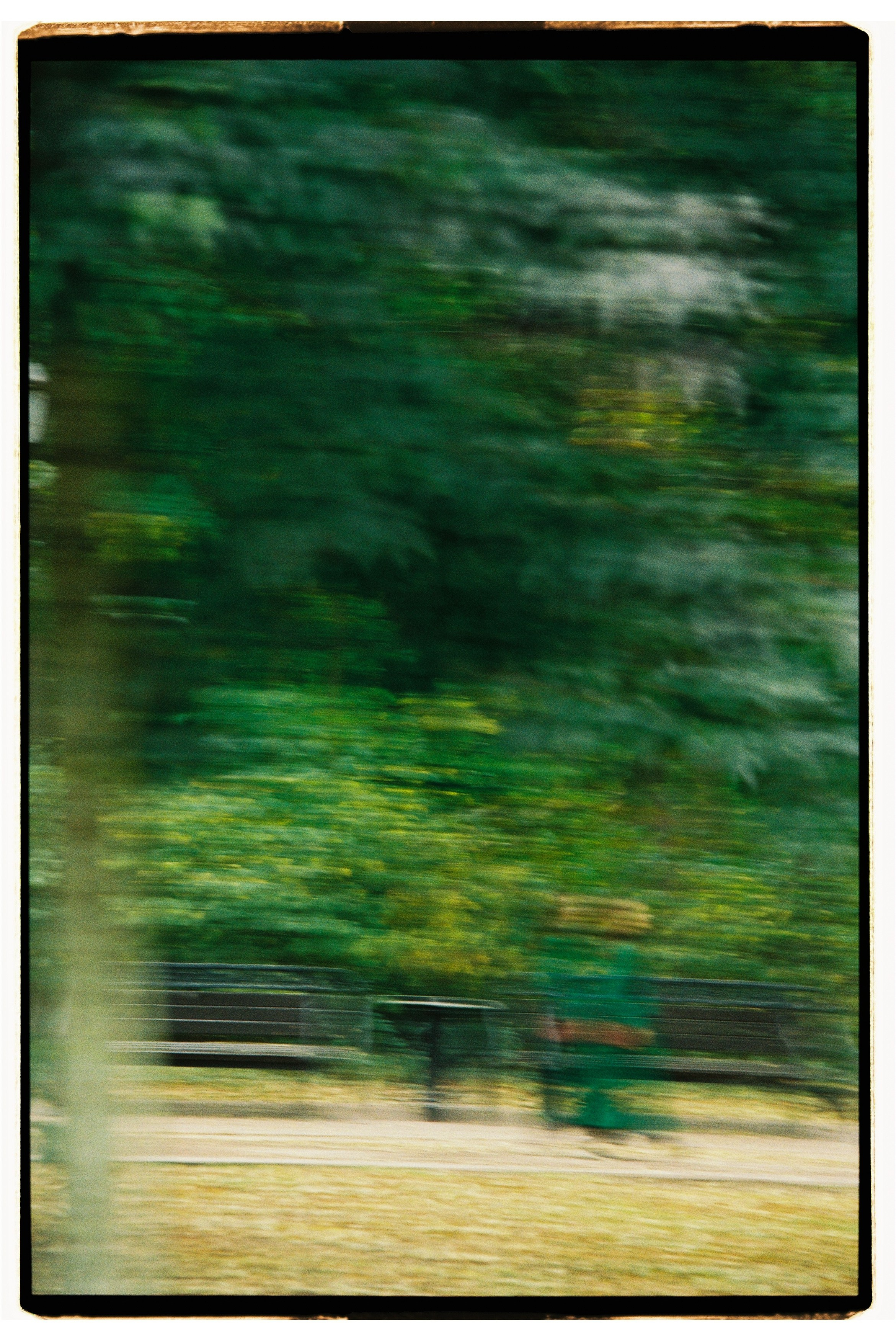 Ангелина. Свадебный фотограф в Москве Евгений Рыжов