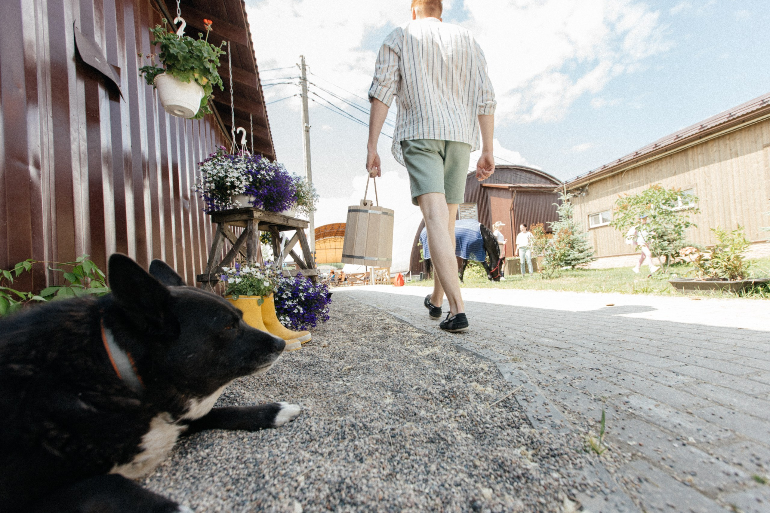 Никита и Елизавета. Свадебный фотограф Настя Шелл г. Череповец