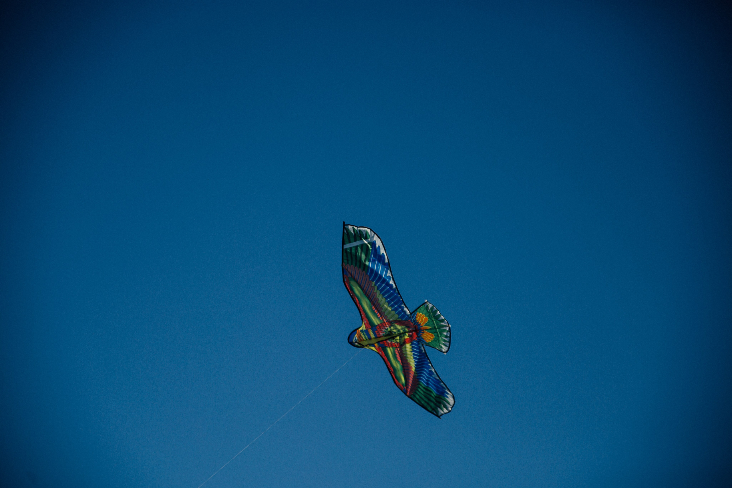 Летняя фотосессия на озере. Фотограф в Самаре Екатерина Кроз