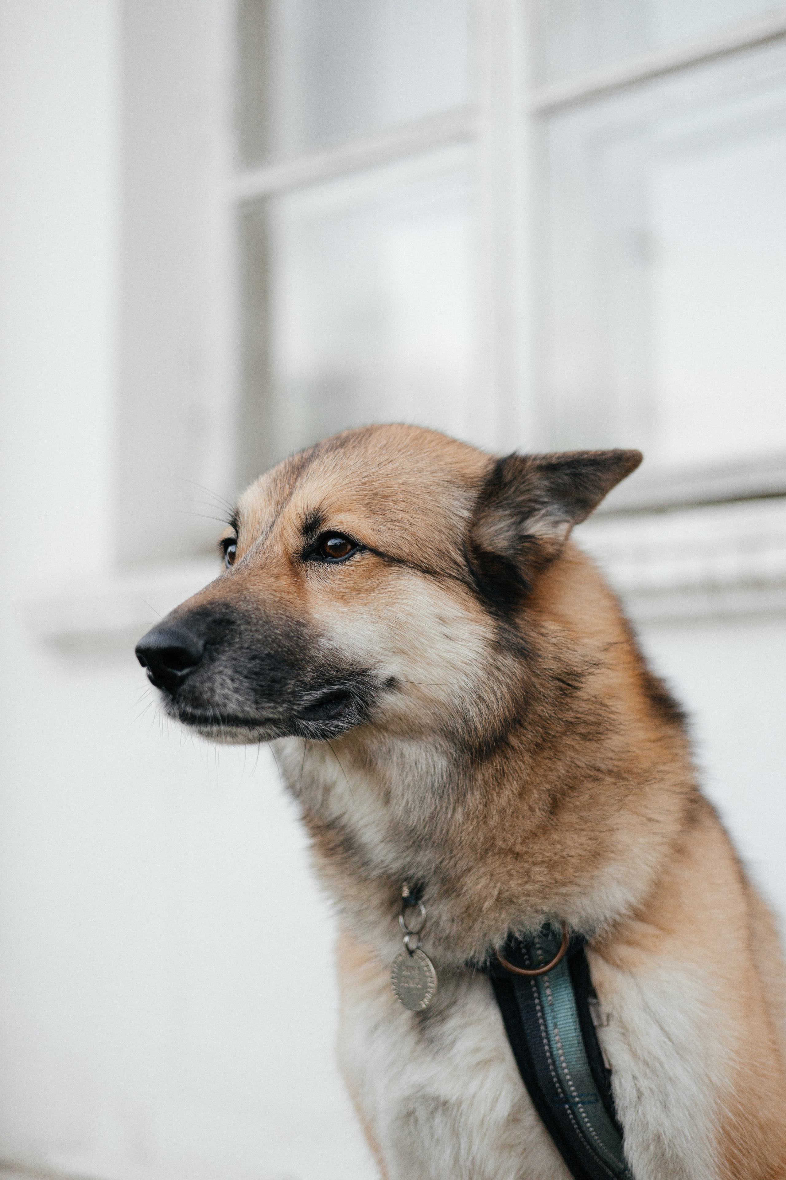 Нелли, Лёша, Рэй и Норд. Фотограф Анна Луценко Москва
