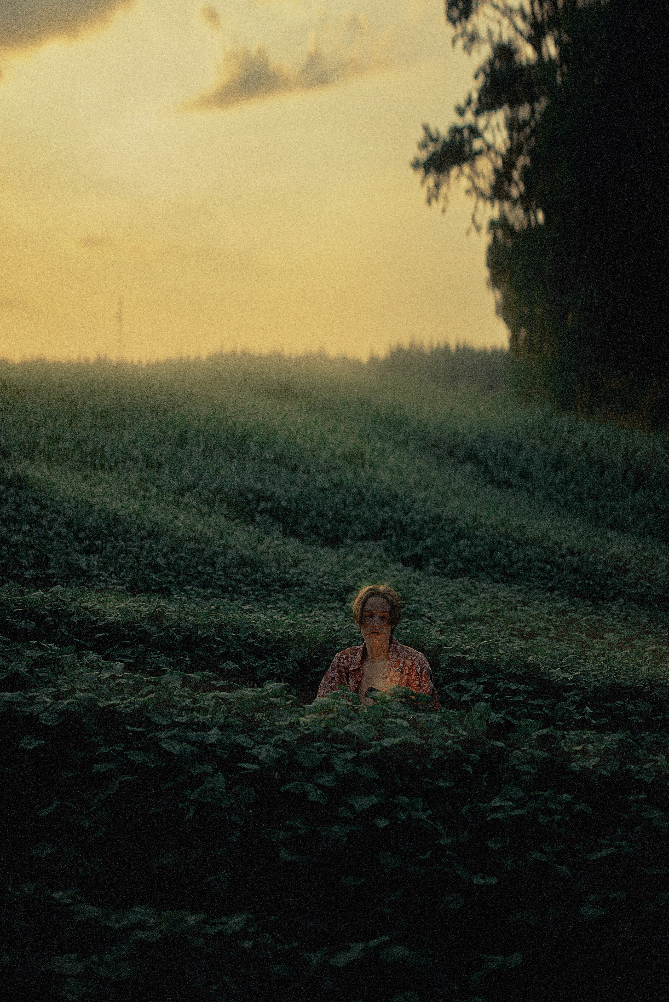 Игорь в гороховом поле. Антон Арнольд | Фотограф Минск