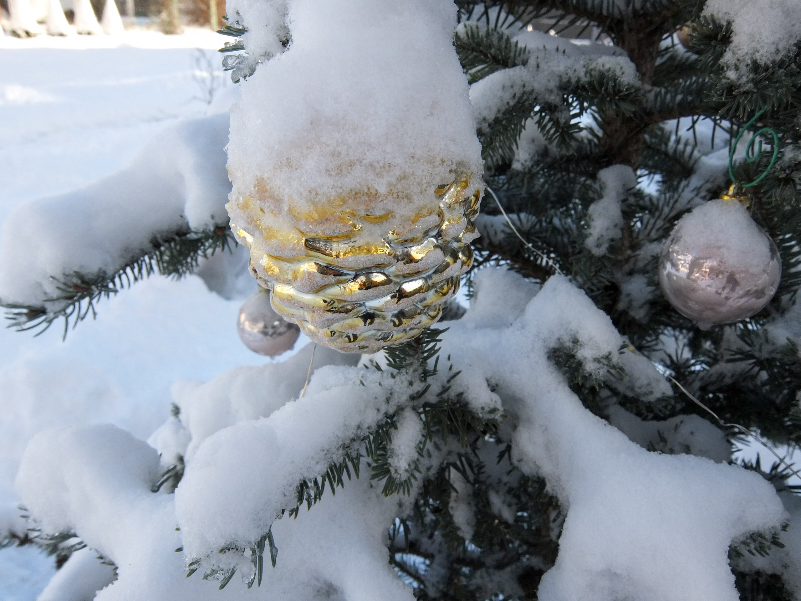 Солнечный день Нового Года. Фотограф-документалист Мария Осокина