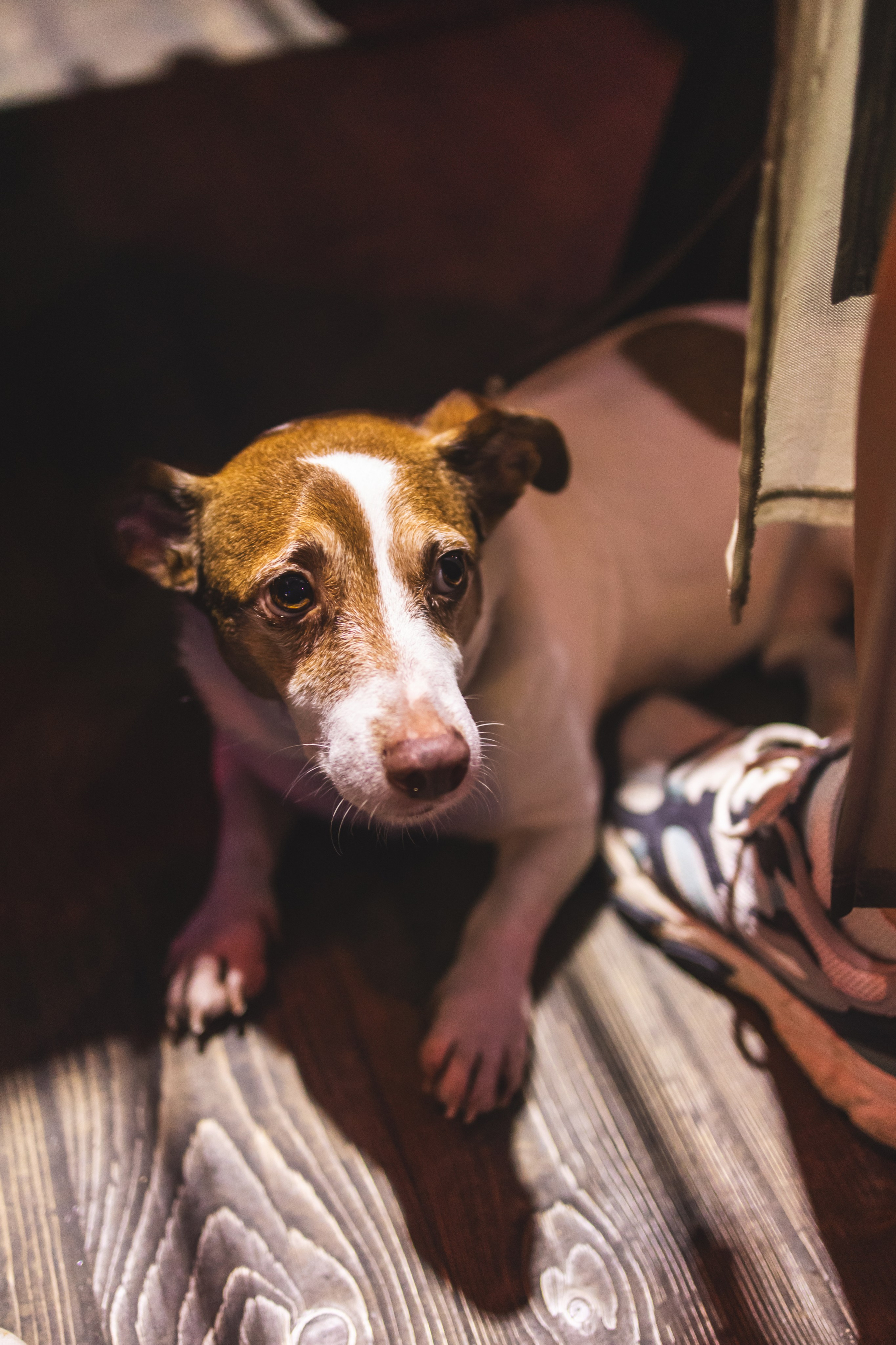 Музыкально-творческий фестиваль. Фотограф Ольга Махалова — Санкт-Петербург, Москва, Нижний Новгород