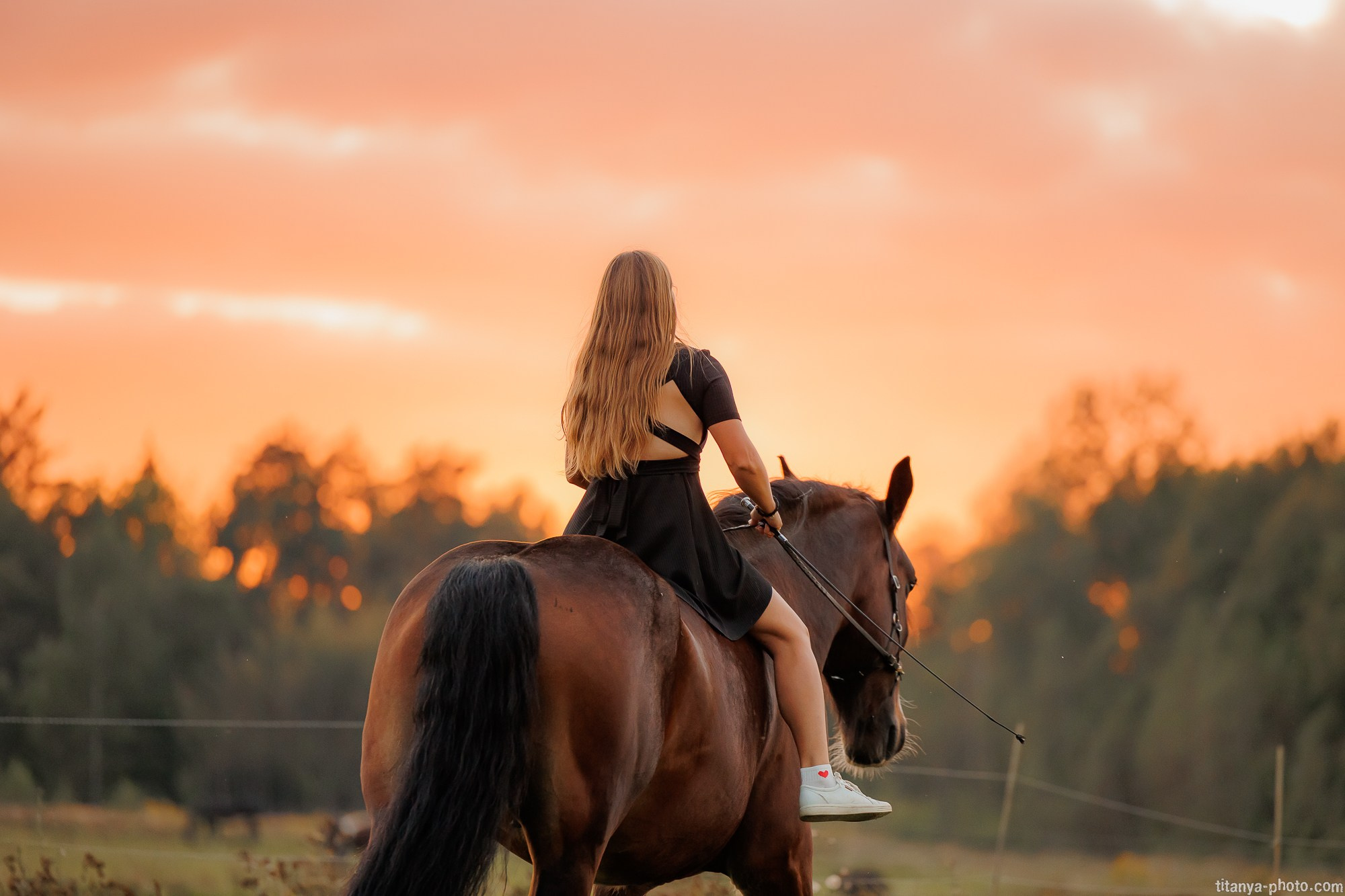 Закатная семейная фотосессия: про Настю и её дружную семью. Фотограф собак, фотограф-анималист Аня Титова (Titanya). Москва