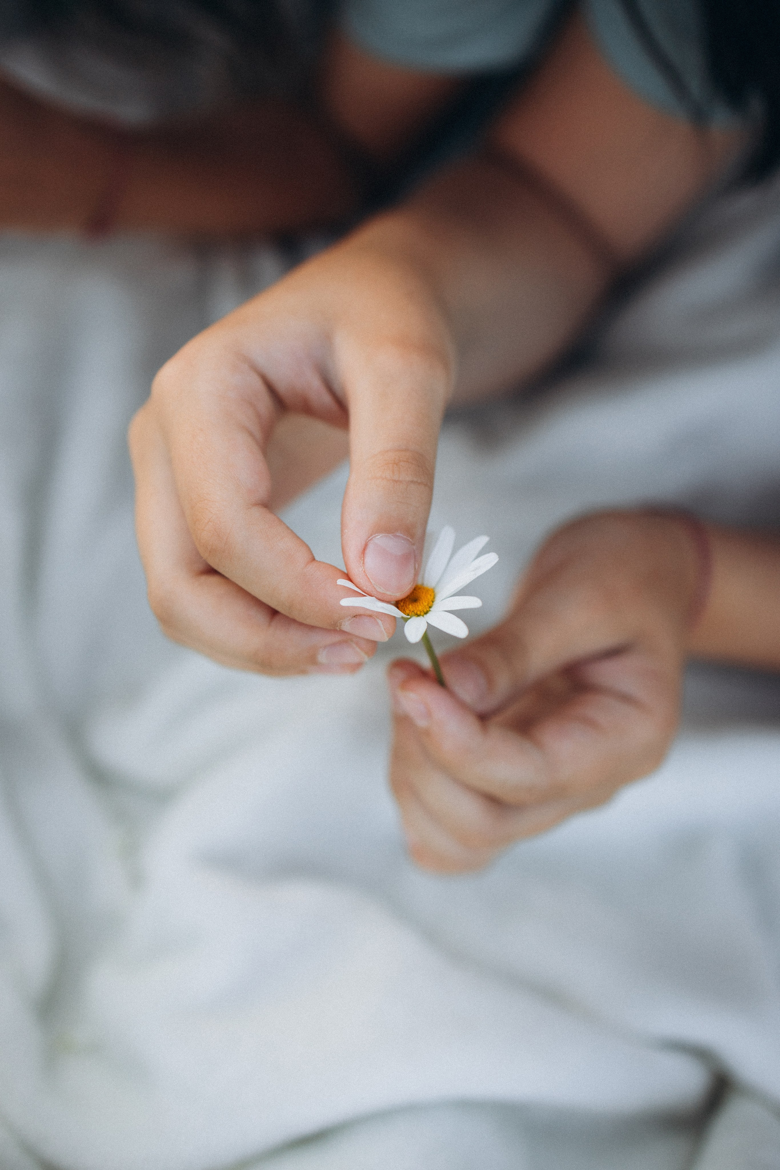 Алиса, Ульяна, Лена и Евгений. Фотограф Елена Рябцева