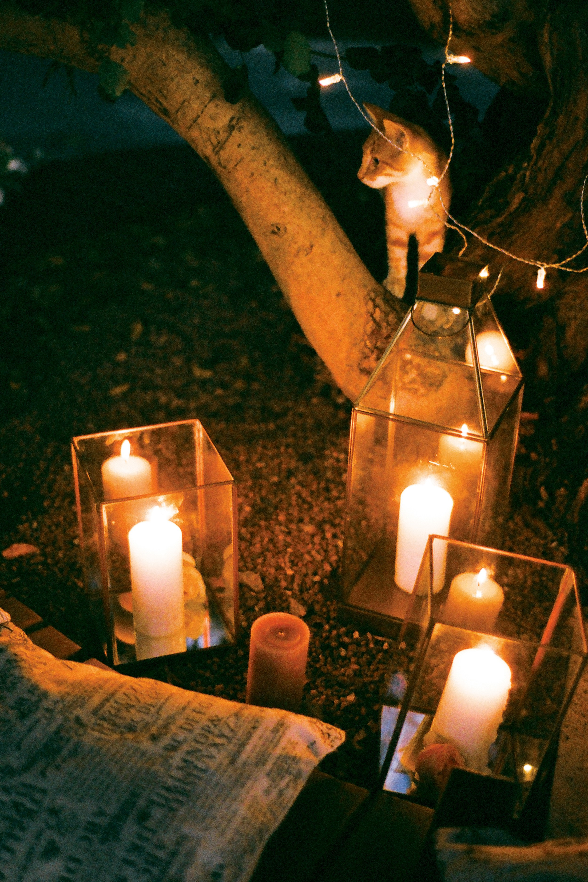 Свадьба в Черногории. Изящная фотография | Ксения Милушкина