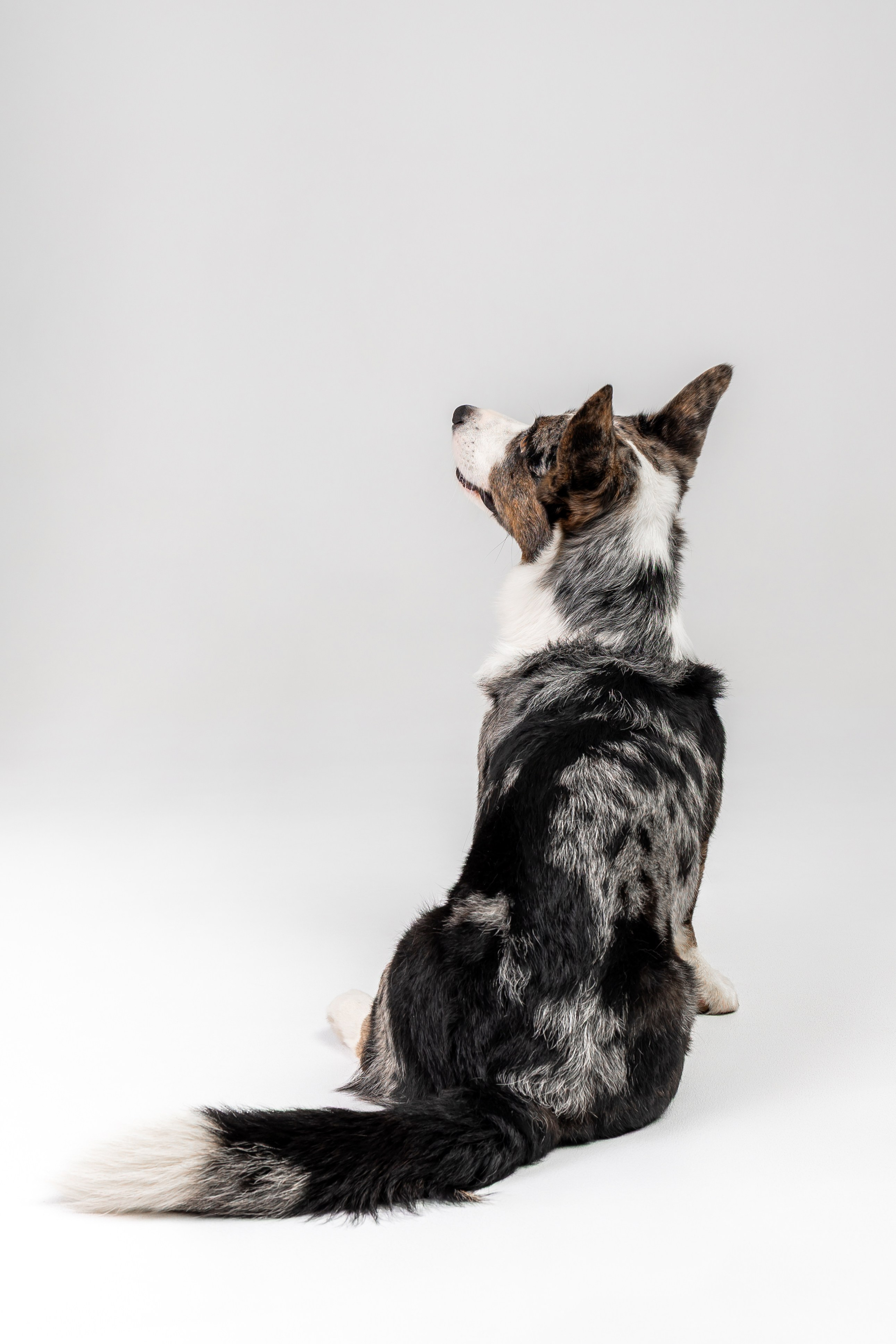 Анатолий и Рагнар