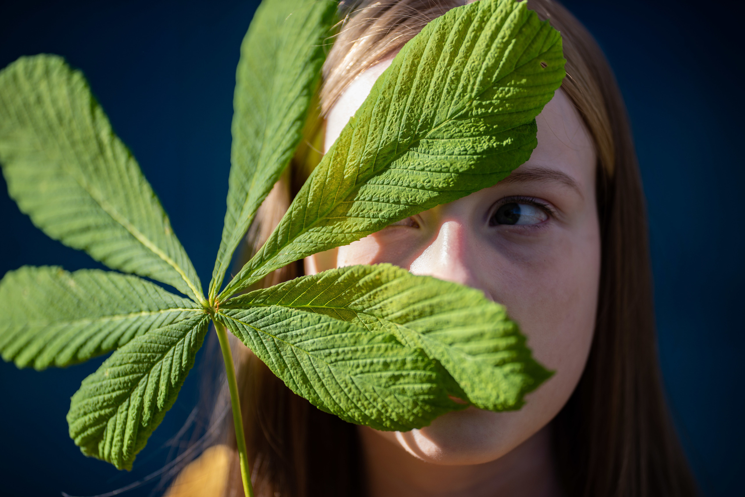 Вероника. Свадебный и семейный фотограф Москва Видное Домодедово