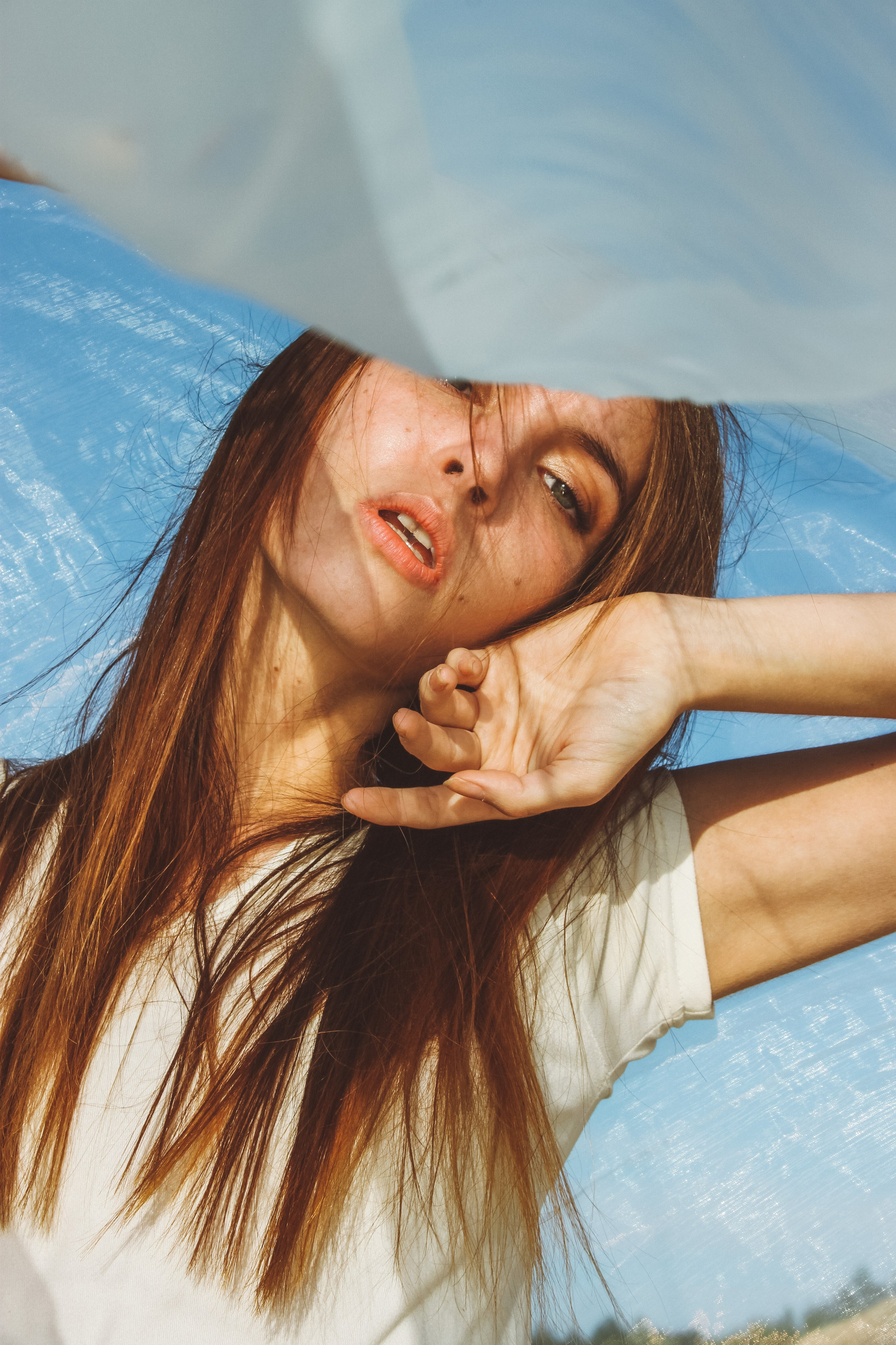 Алиса. Oksan_photo