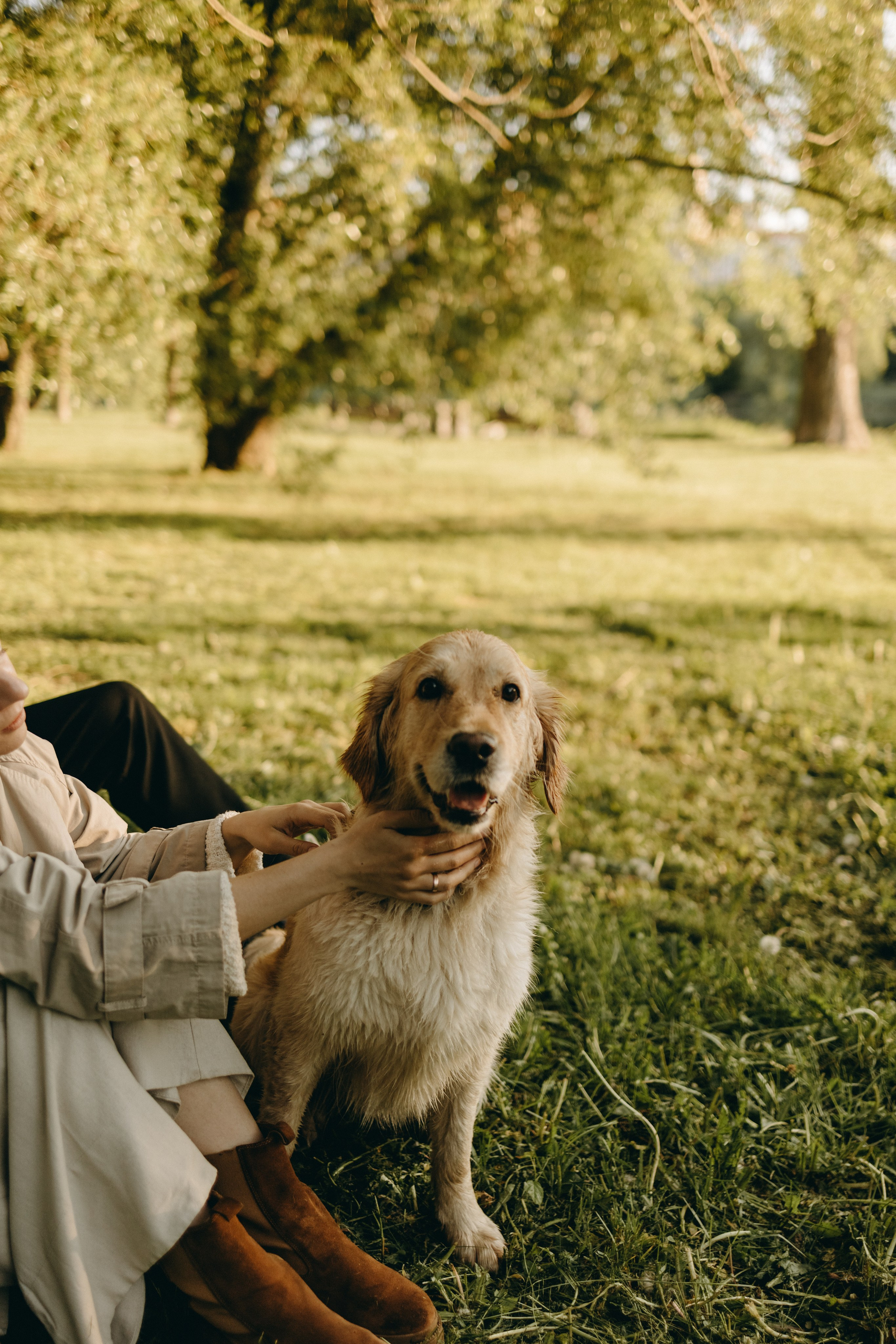 Пенни и ребята. Фотограф — Анималист | Санкт-Петербург