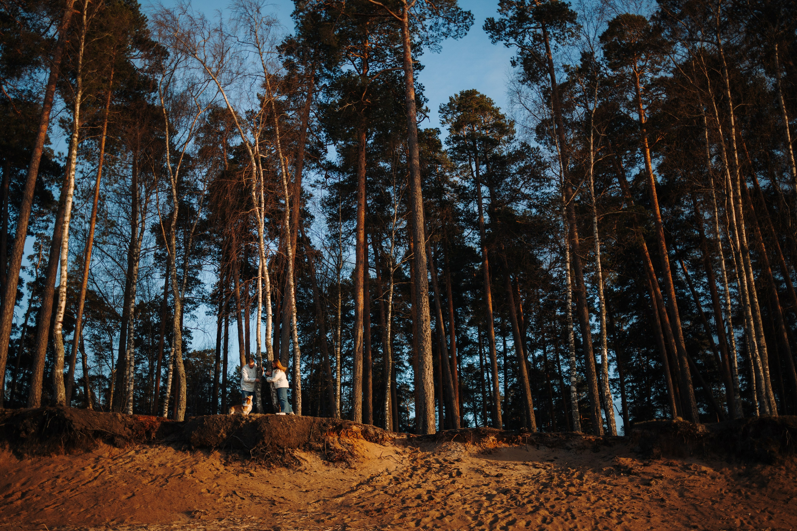 Найт и его семья. Фотограф — Анималист | Санкт-Петербург