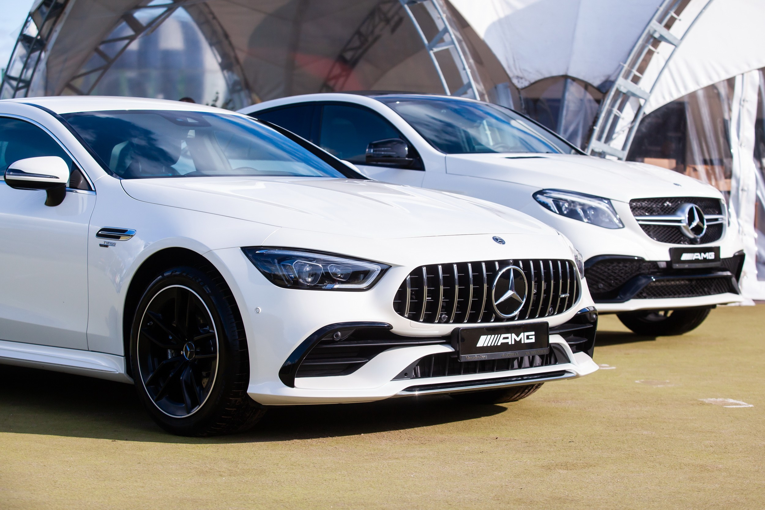 Кубок Губернатора по конкуру (21 сентября 2019). Репортажный фотограф Алексей Пирязев