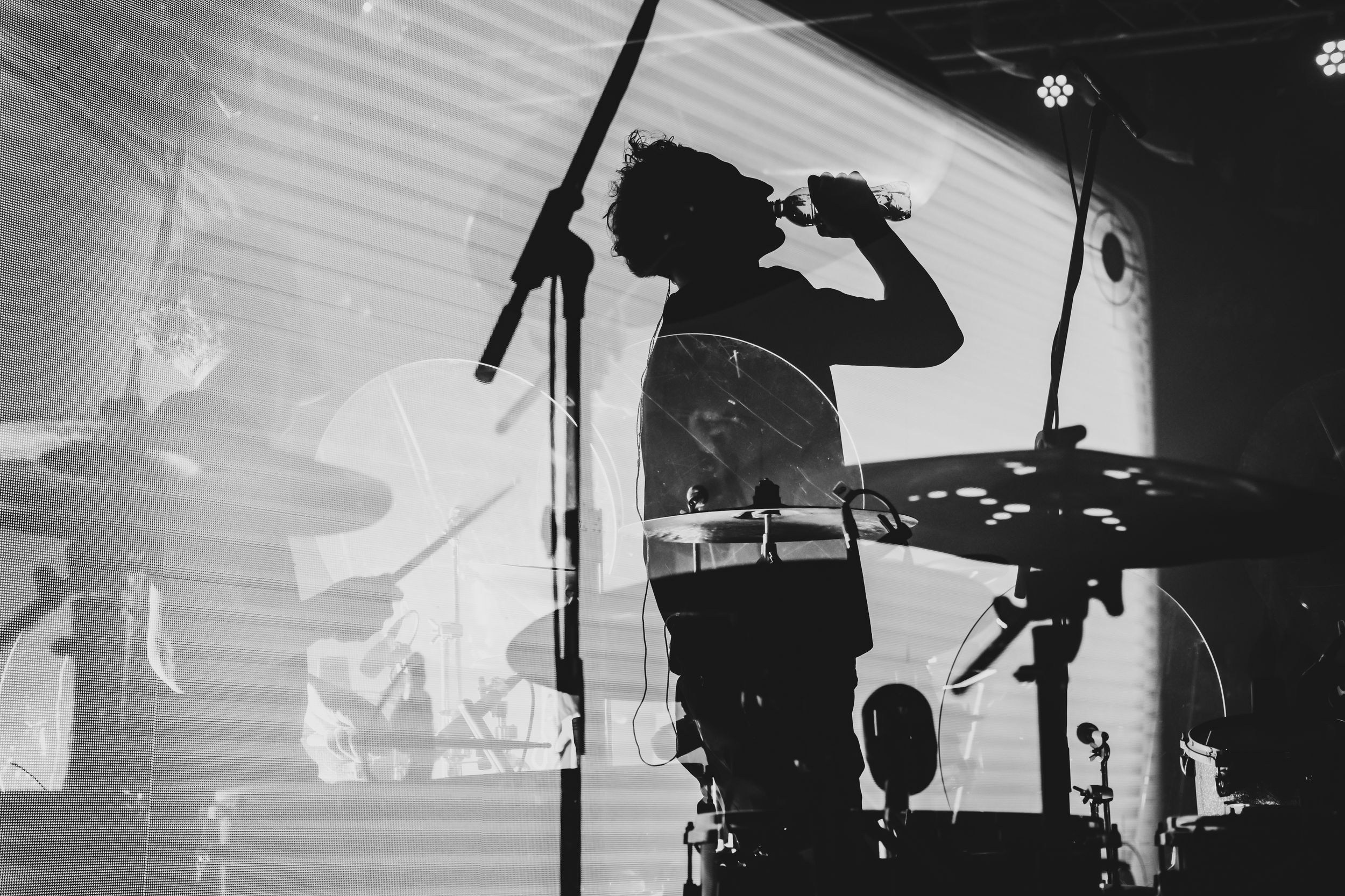 Дельфин. Репортажный фотограф Алексей Пирязев