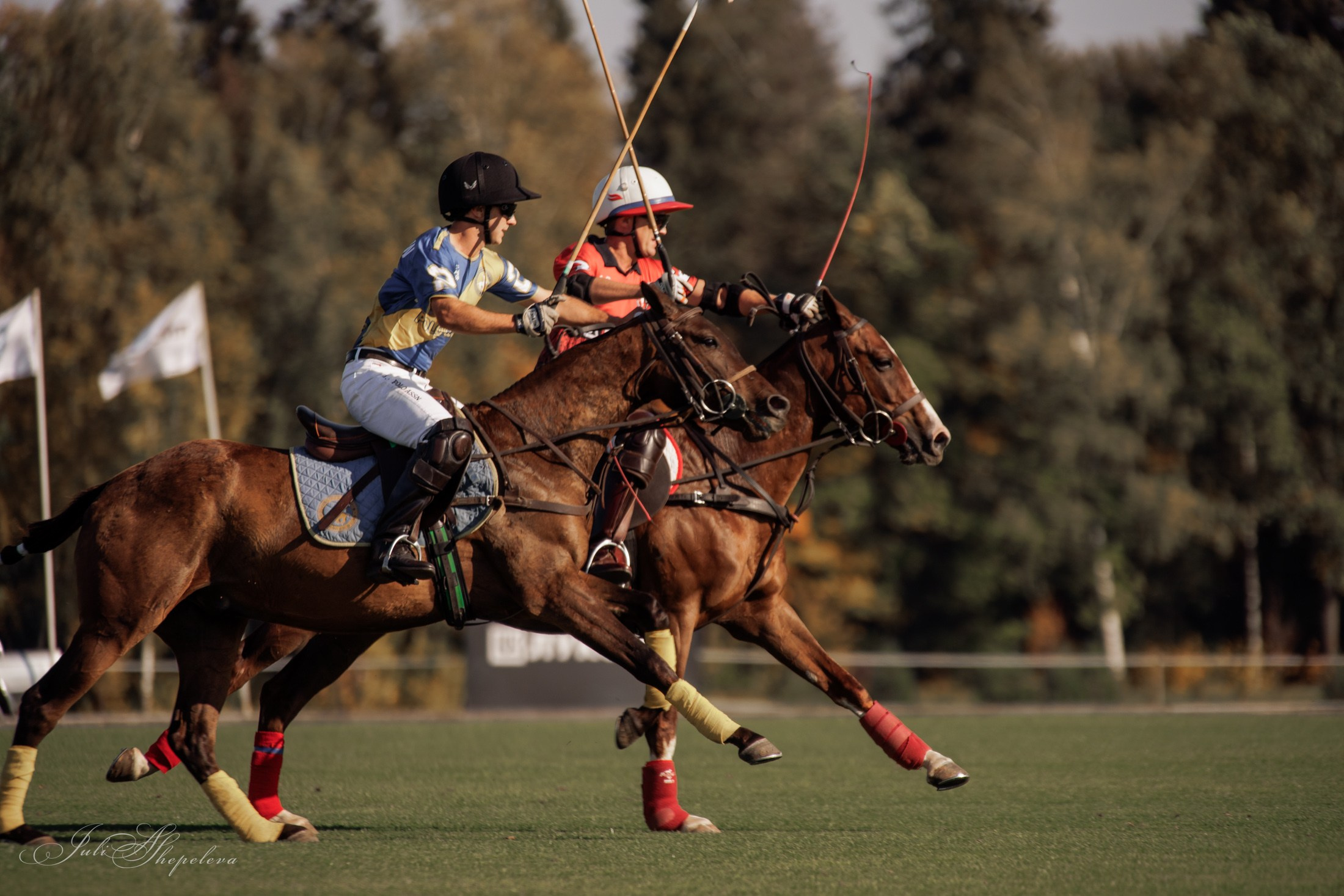 Осенний кубок по конному поло. Детская Конная фотография в Москве Юлия Шепелева