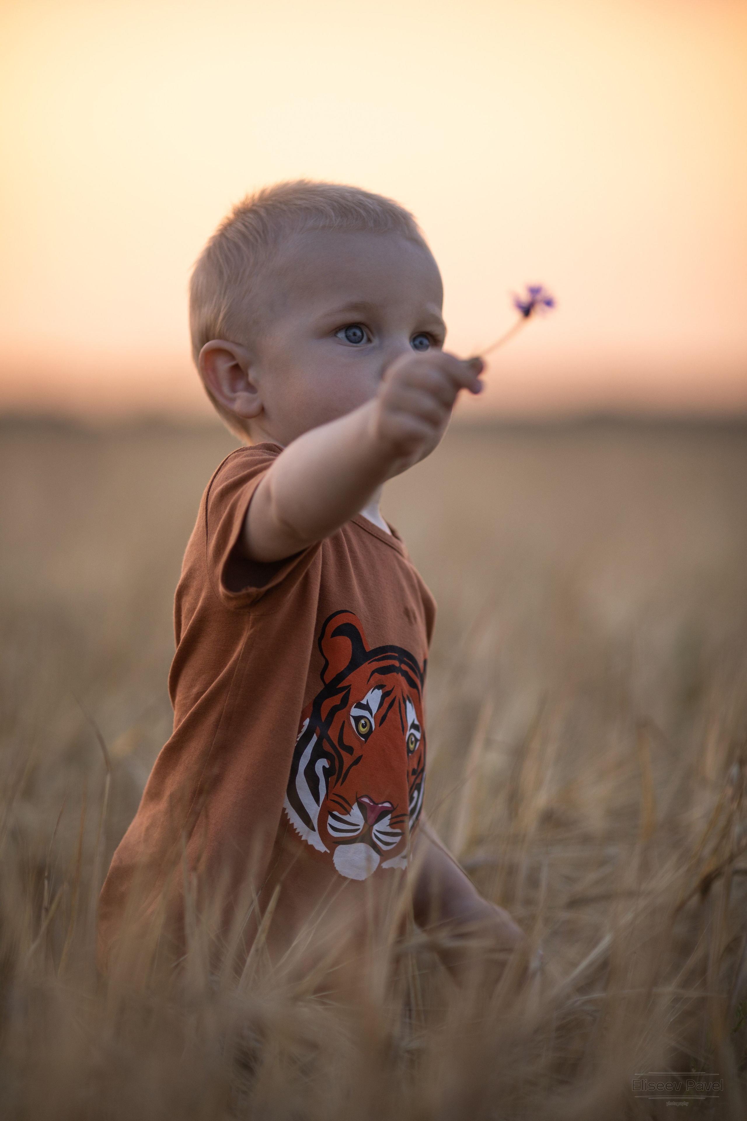 Portraits. Репортажный и свадебный фотограф в Челябинске Елисеев Павел