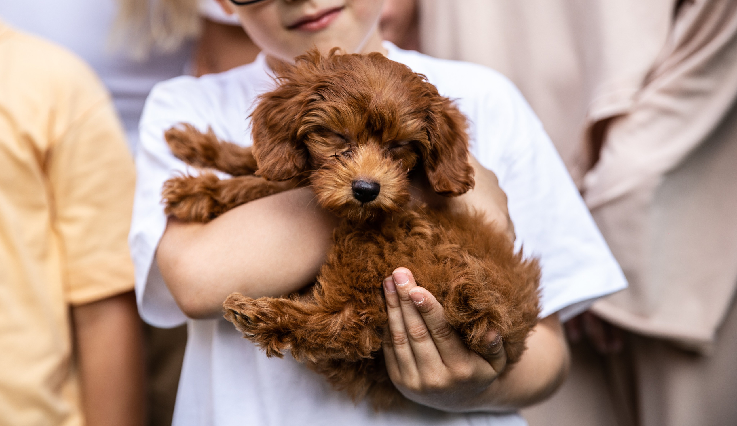 День Рождения Егорки -2025. VoronEvent. Репортажный и свадебный фотограф в Челябинске Елисеев Павел