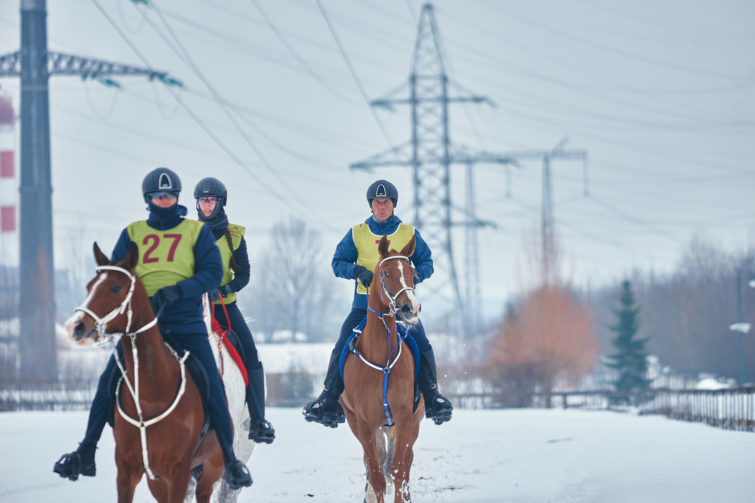 HORSE RACING. Фотограф Наталья Леонова