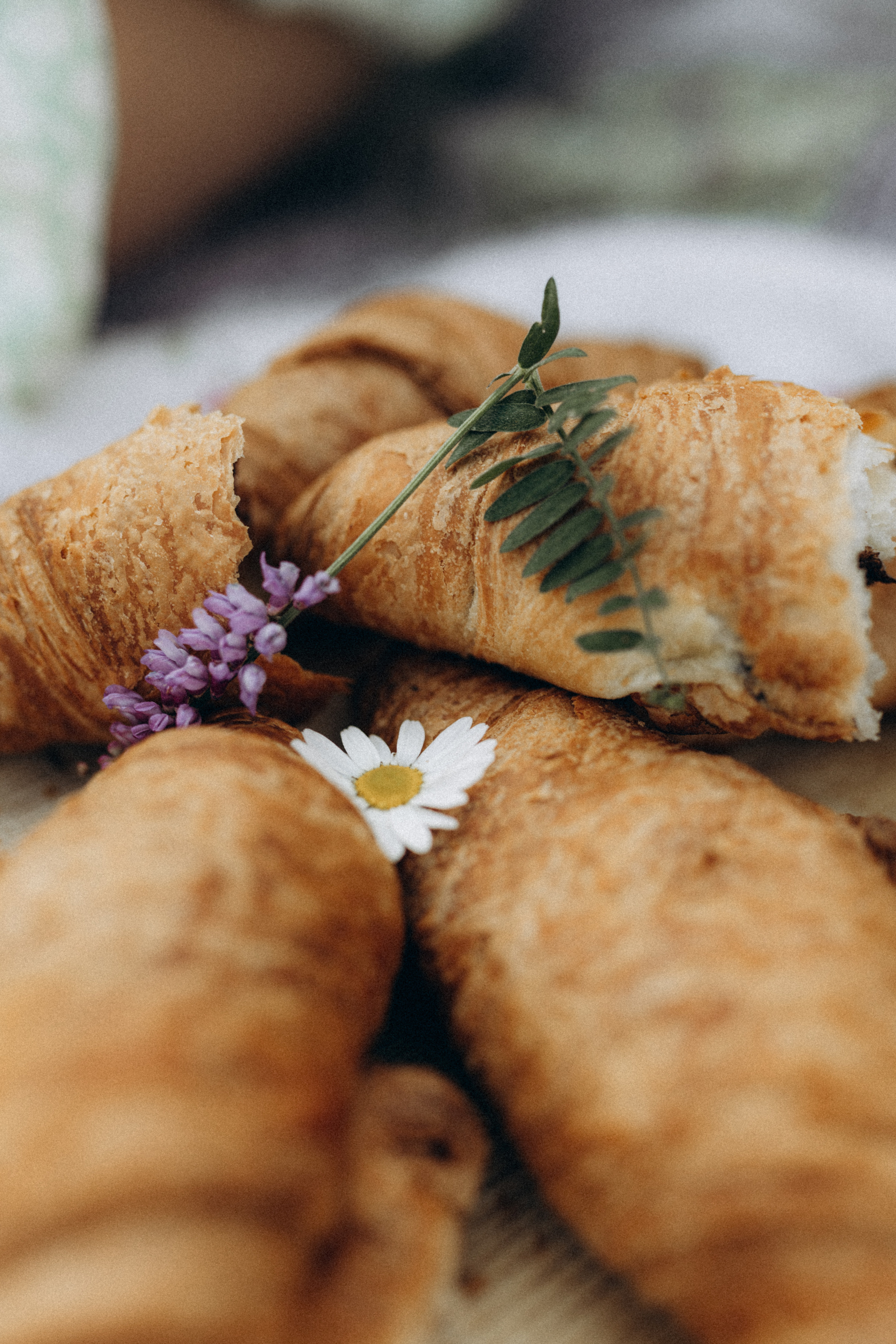 Злата, Рита, Слава. Фотограф НОГИНСК, Москва, Анастасия Белая
