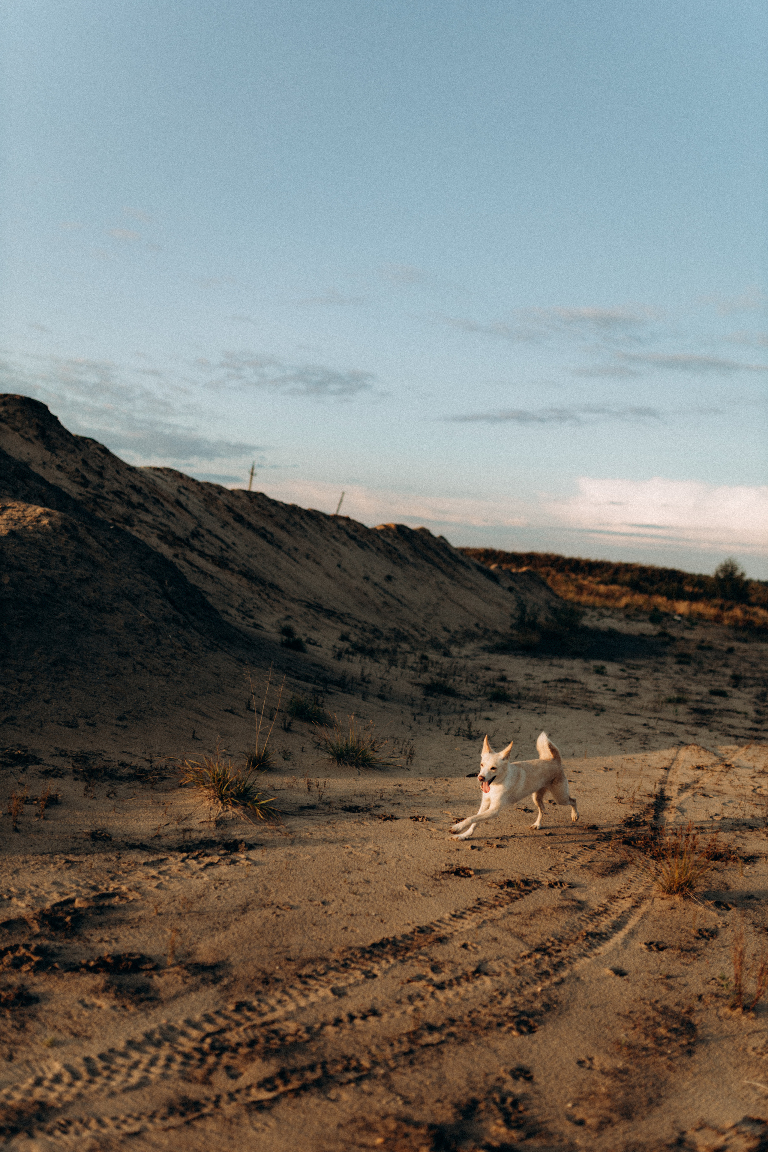 Диана & Айси. Фотограф НОГИНСК, Москва, Анастасия Белая
