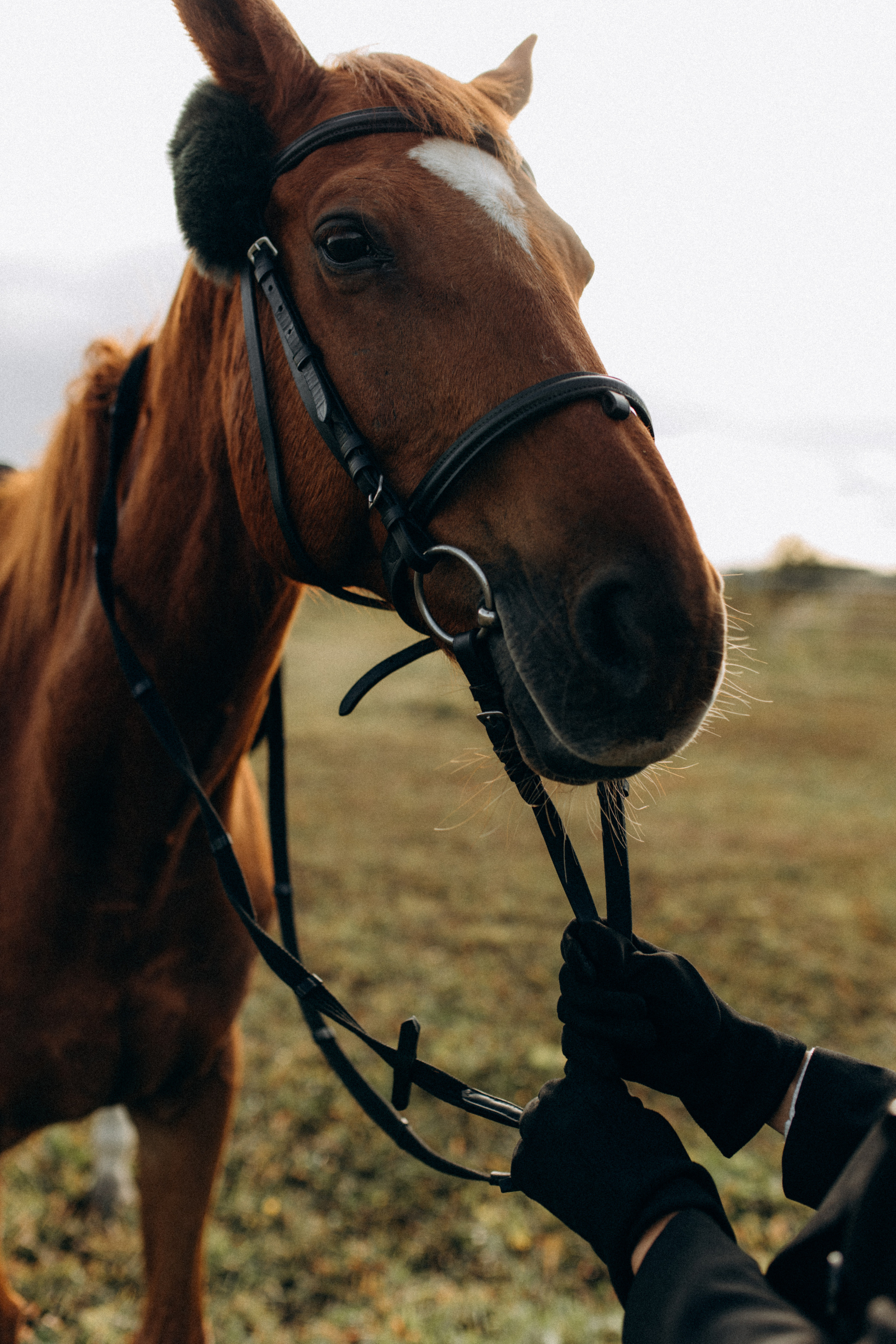 Эля. Фотограф НОГИНСК, Москва, Анастасия Белая