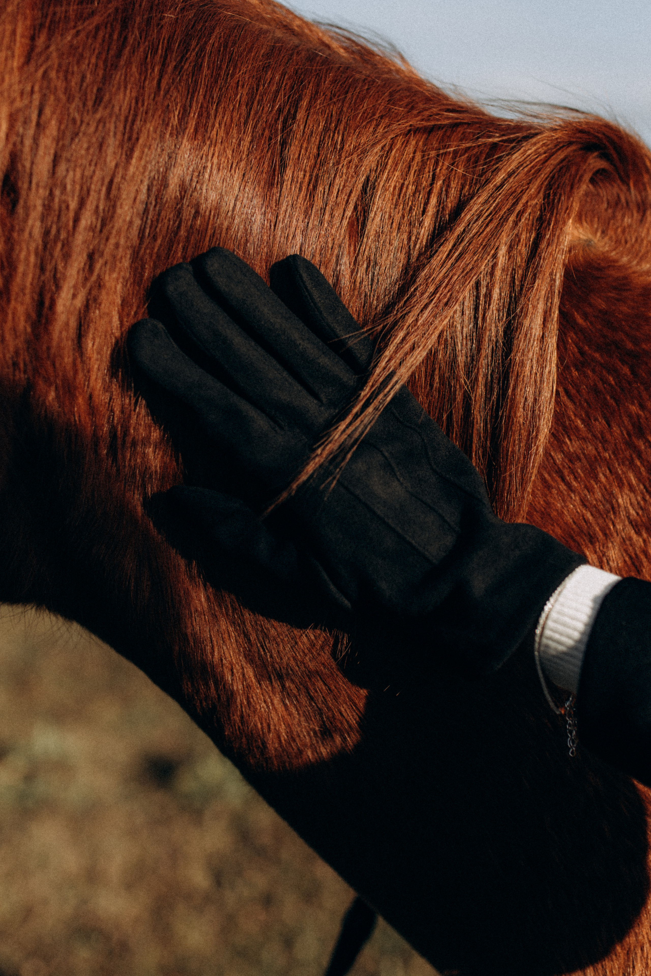 Эля. Фотограф НОГИНСК, Москва, Анастасия Белая