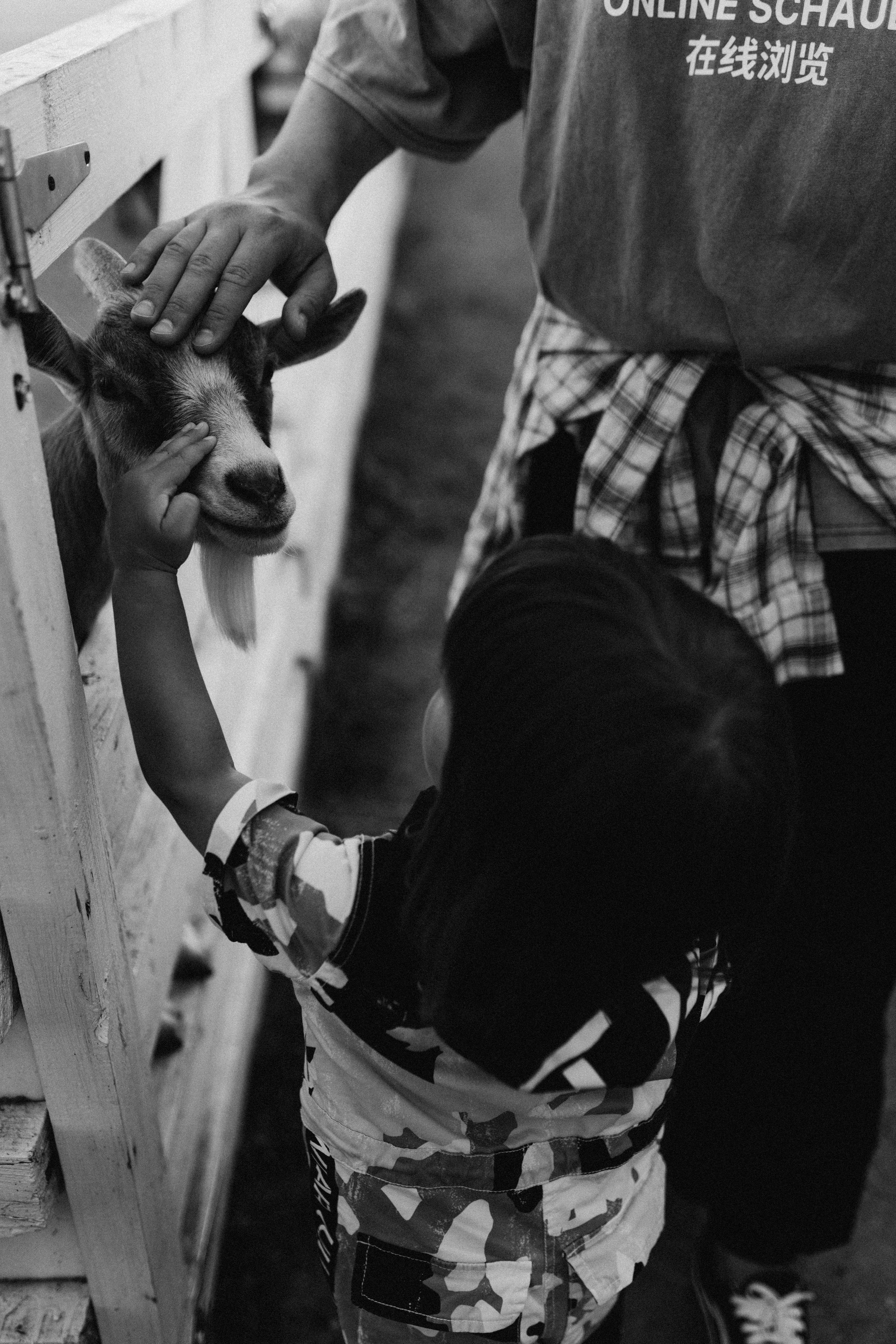 Серёжа, Настя, Антон. Фотограф НОГИНСК, Москва, Анастасия Белая