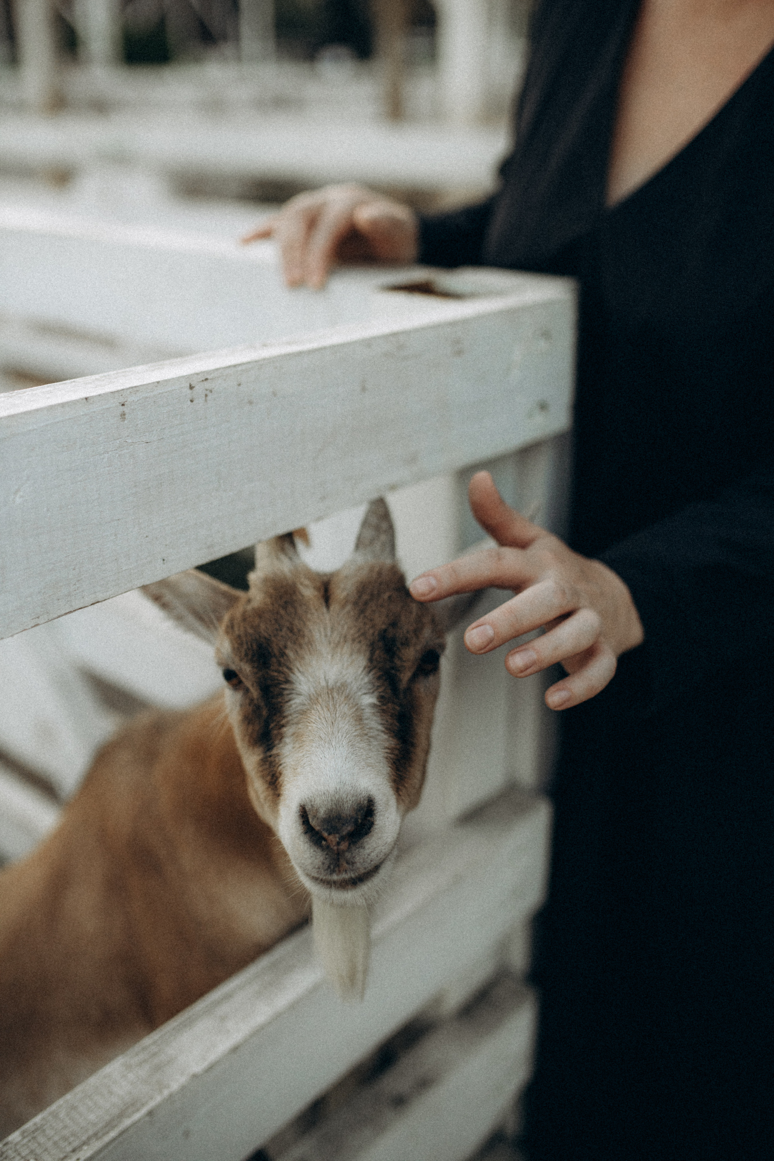 Серёжа, Настя, Антон. Фотограф НОГИНСК, Москва, Анастасия Белая