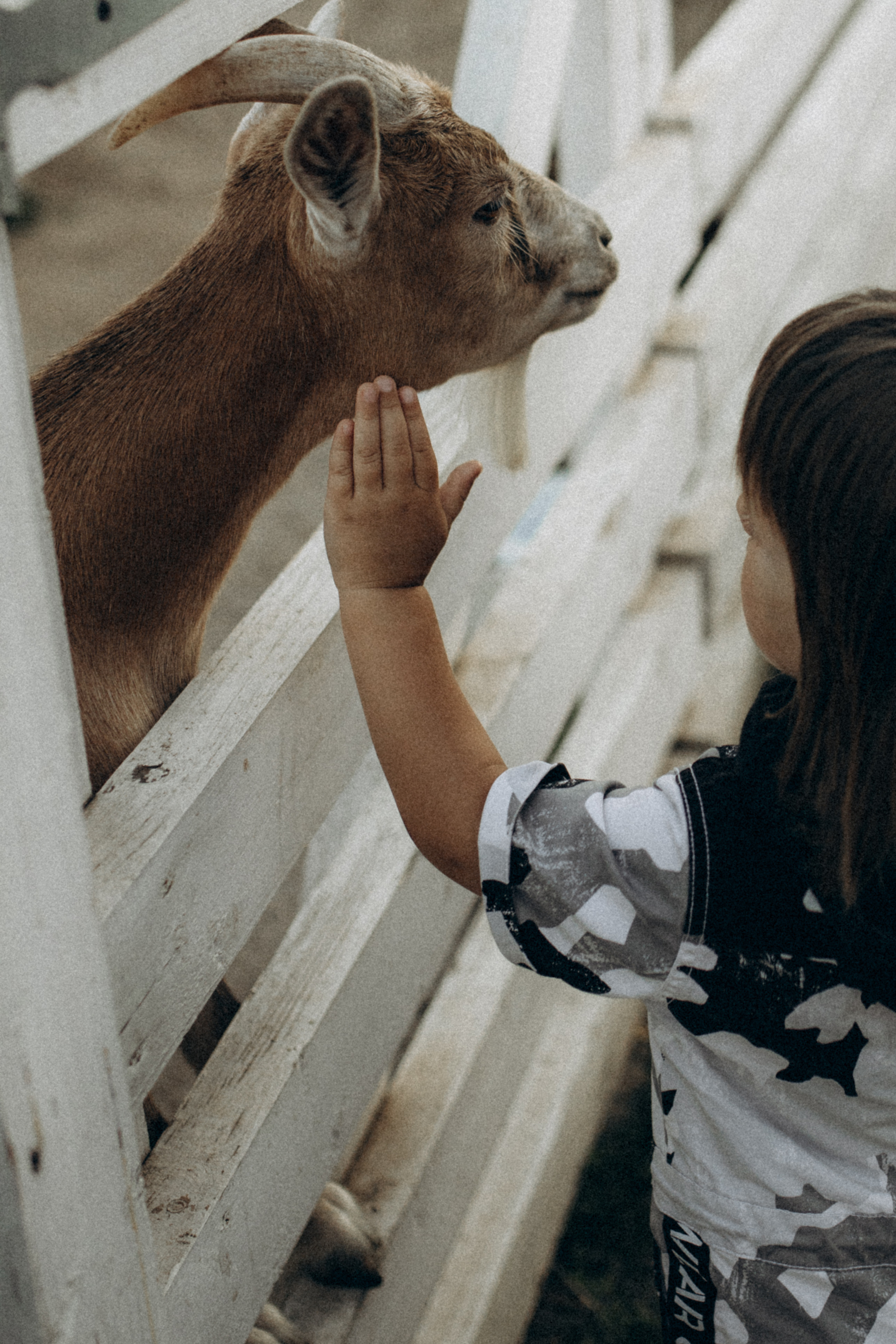 Серёжа, Настя, Антон. Фотограф НОГИНСК, Москва, Анастасия Белая