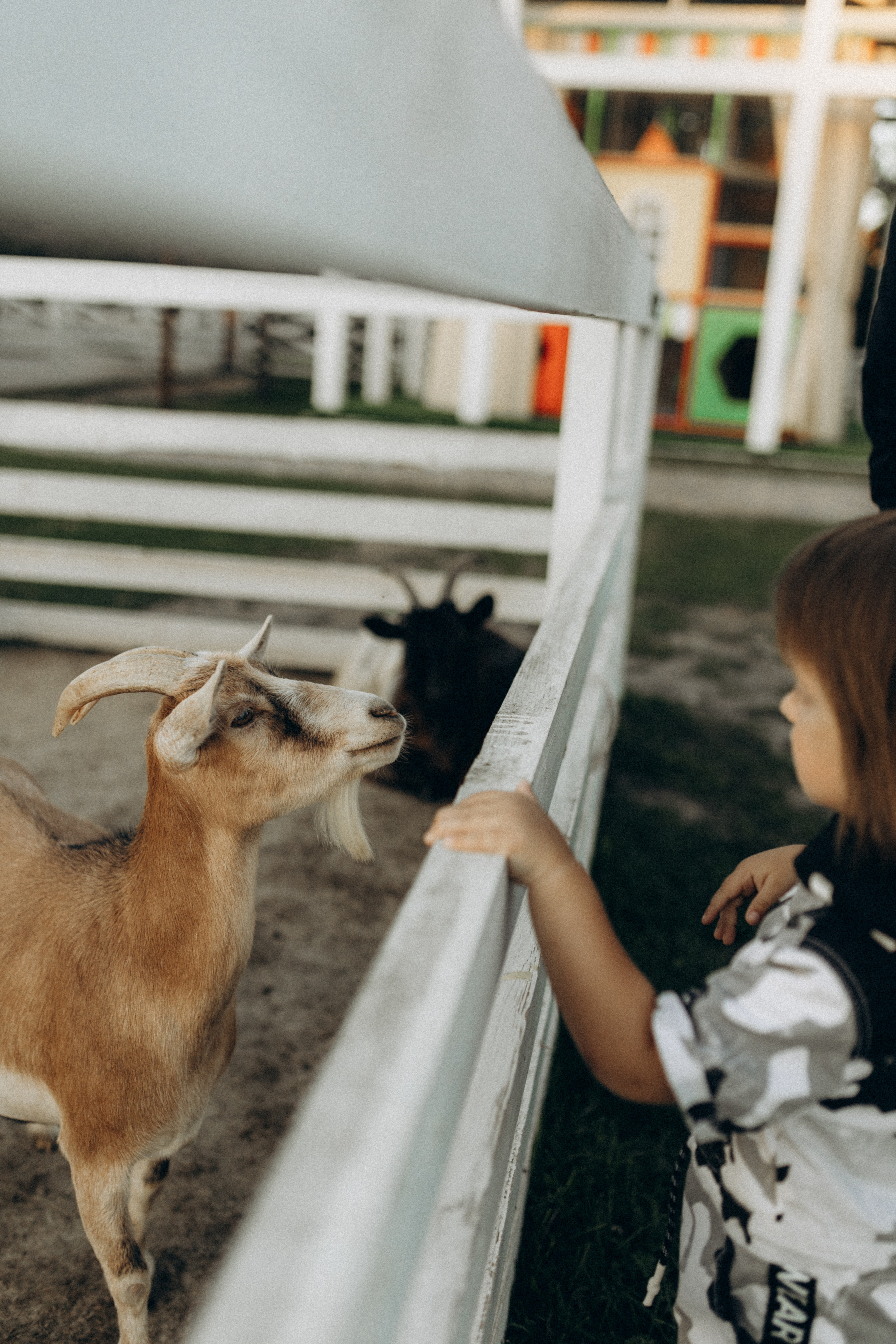 Серёжа, Настя, Антон. Фотограф НОГИНСК, Москва, Анастасия Белая