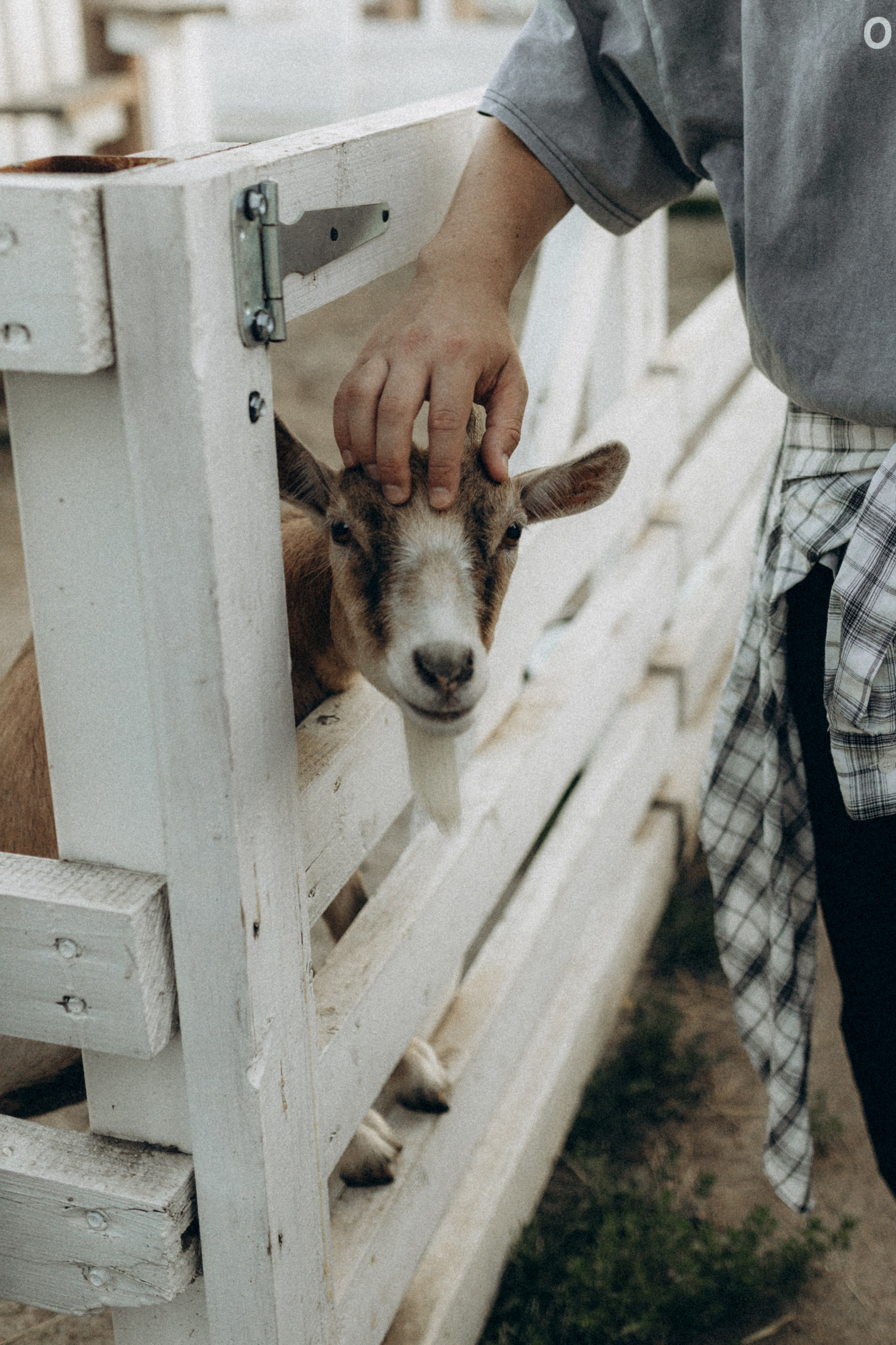 Серёжа, Настя, Антон. Фотограф НОГИНСК, Москва, Анастасия Белая